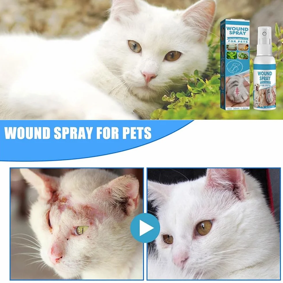 Rakiuty Pansement Liquide pour Plaies Chien Spray Guérison Nettoyage Animaux Compagnie