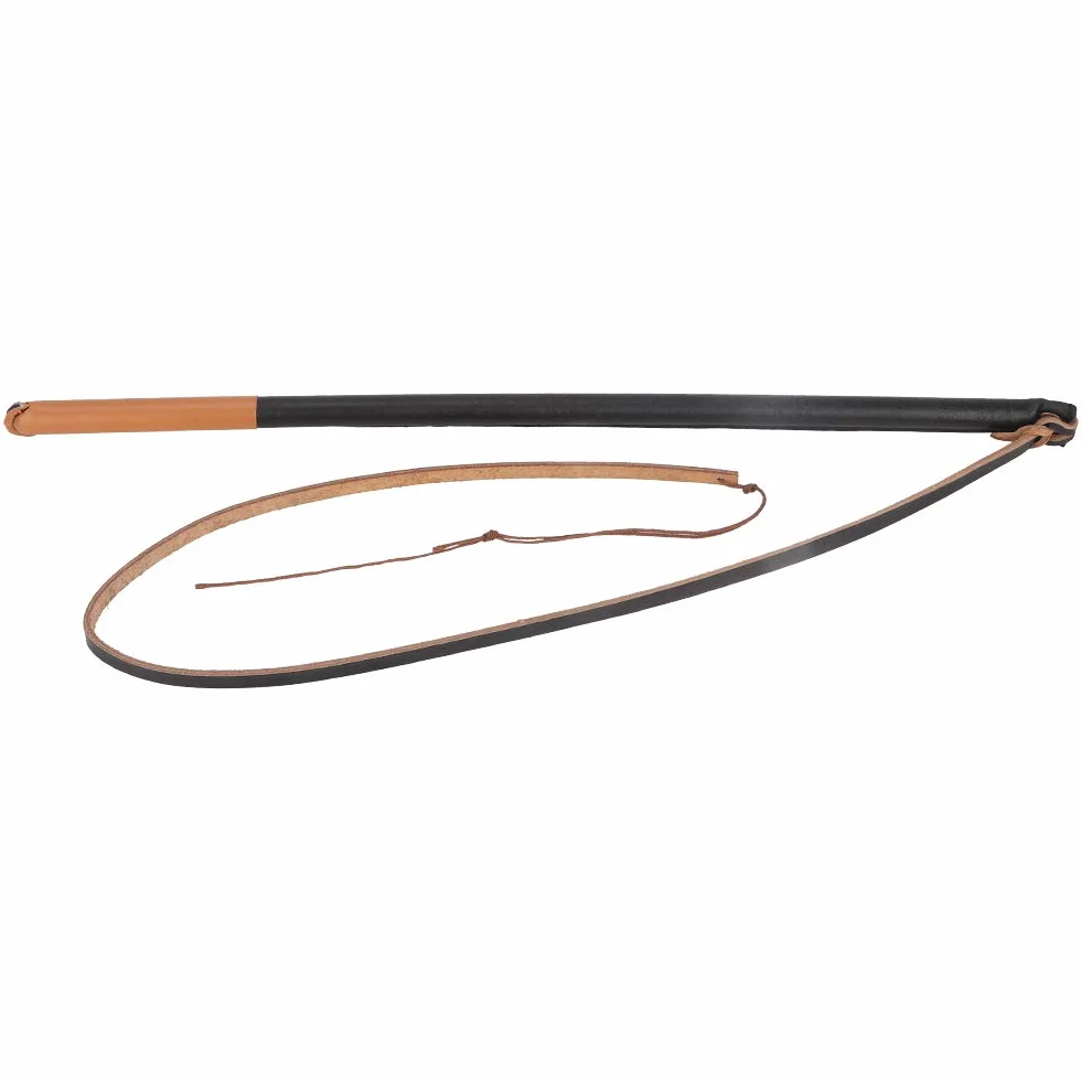Flirt Pole pour Chiens de Grande Taille, Outils de Dressage