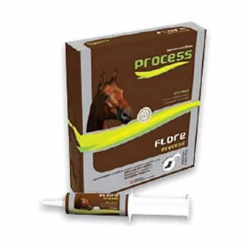 Flore Process Cheval 5 seringues 20ml M.S.D.