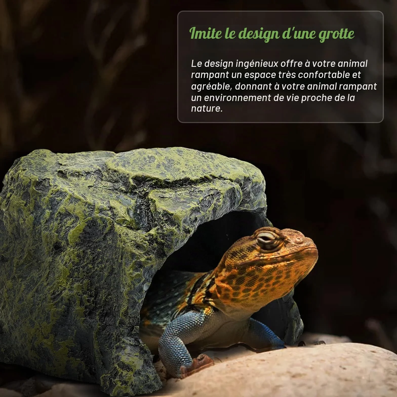 Grande Cachette Reptile Résine Abri Tortue Lézard Serpent Amphibiens Décoration Terrarium Aquarium