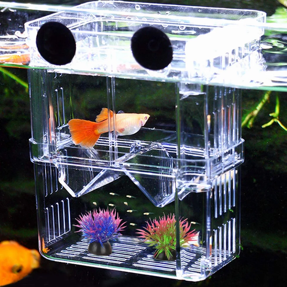 Boîte d'élevage de Poisson d'aquarium, en Acrylique Double Couche pour Isolation de Poisson/éclosion de Poissons/éleveurs de Poissons tropicaux