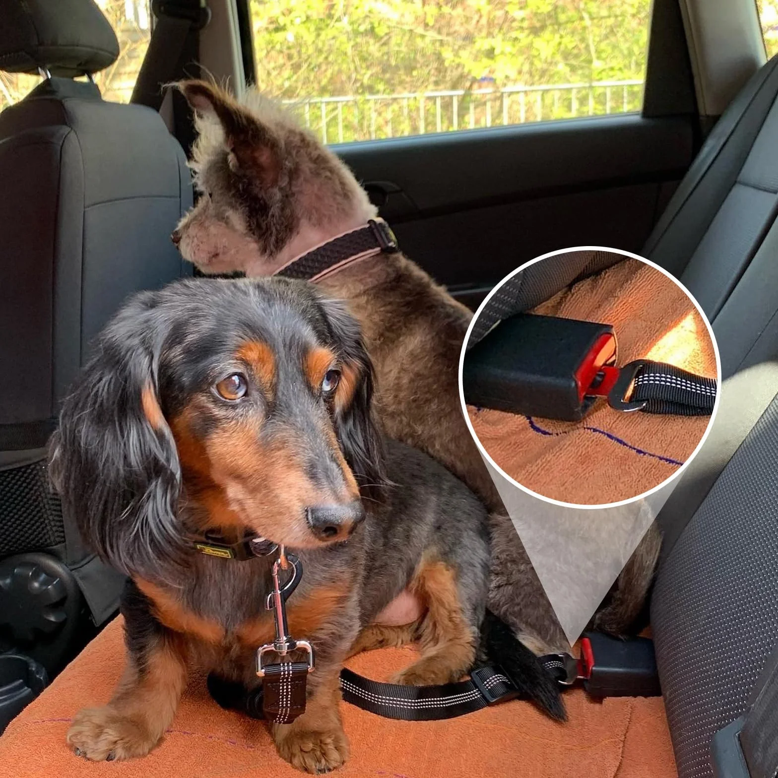 Gentpovth Ceinture et Harnais de Sécurité Universel pour Chien en Voiture - 2 Pièces, Indéchirable, Nylon Noir, Longueur Réglable - pour Tous Les Chiens et Chats