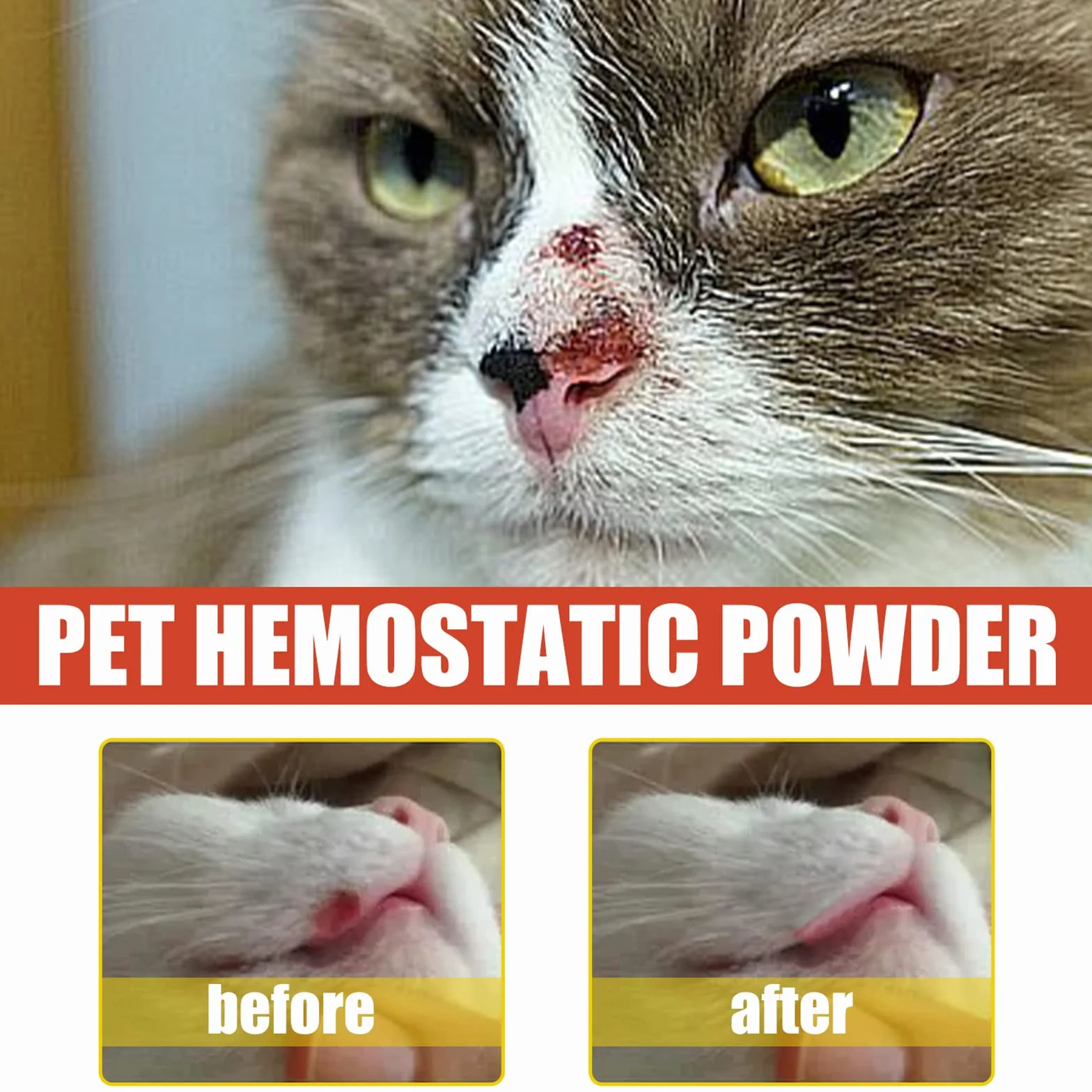 Poudre styptique médicamenteuse 50 g pour chiens chats soins de la peau