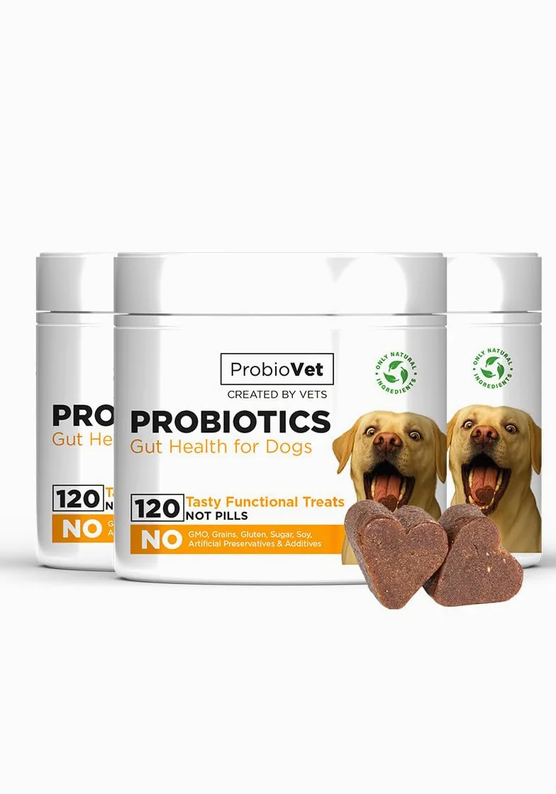Probiotique Chien - 360 Bouchées Flore Intestinale & Immunité - Prébiotiques (Inuline de Chicorée) - Digestion Sensible, Anti-Diarrhée & Gaz - Transit & Vitalité - Complément Naturel