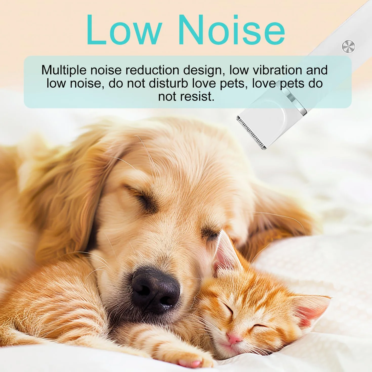 4 en 1 Tondeuse Chat Silencieuse sans Fil pour Chiens et Chats Blanc