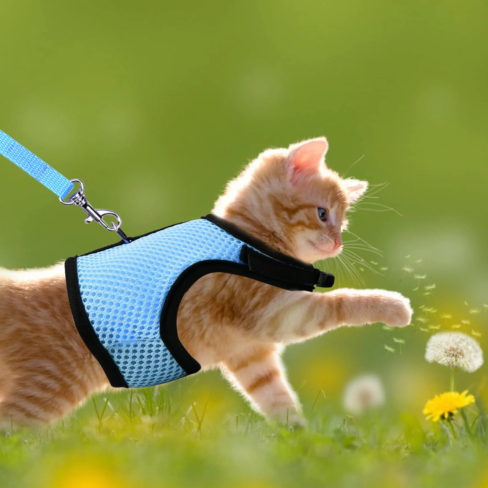 Harnais Lapin Réglable, Laisse Élastique Gilet Souple avec Corde de Traction pour Lapins et Cochons d'Inde (Bleu, S)