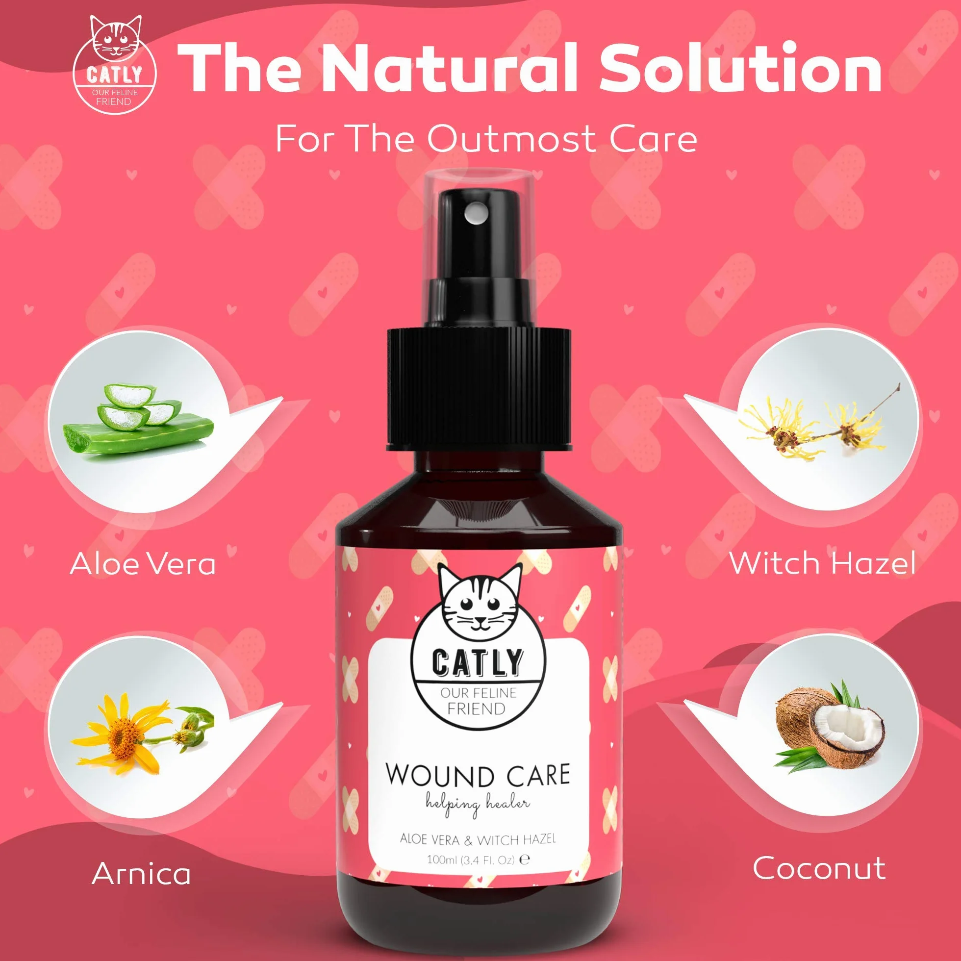 CATLY Spray Nettoyant de Plaie pour Chat - Hygiène et Santé du Chat Naturel - Aide au Toilettage - Hydrate et Protège la Peau - À l'Aloe Vera - 100 ml