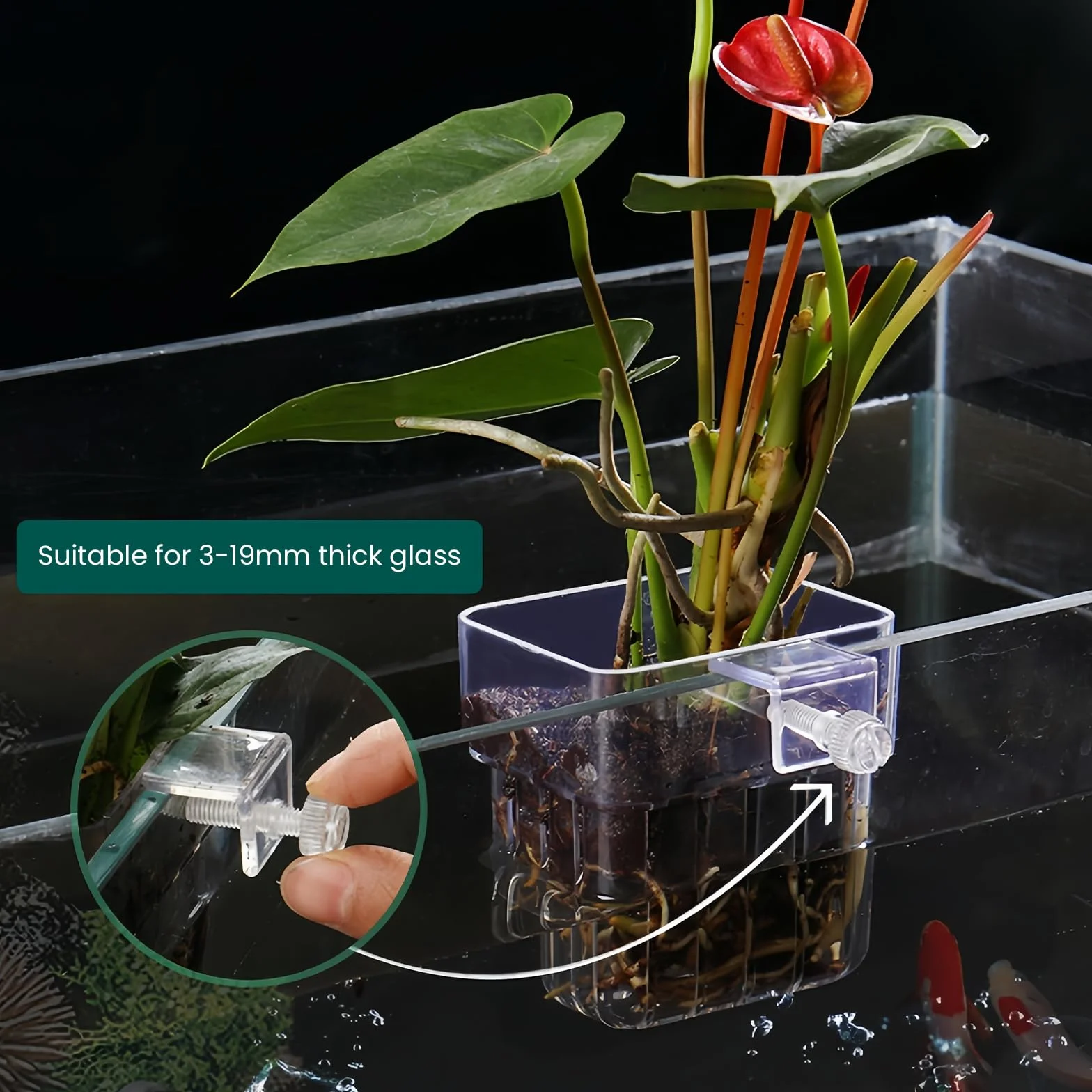 Lot de 6 supports de plantes d'aquarium transparents avec trous, paniers suspendus pour aquarium