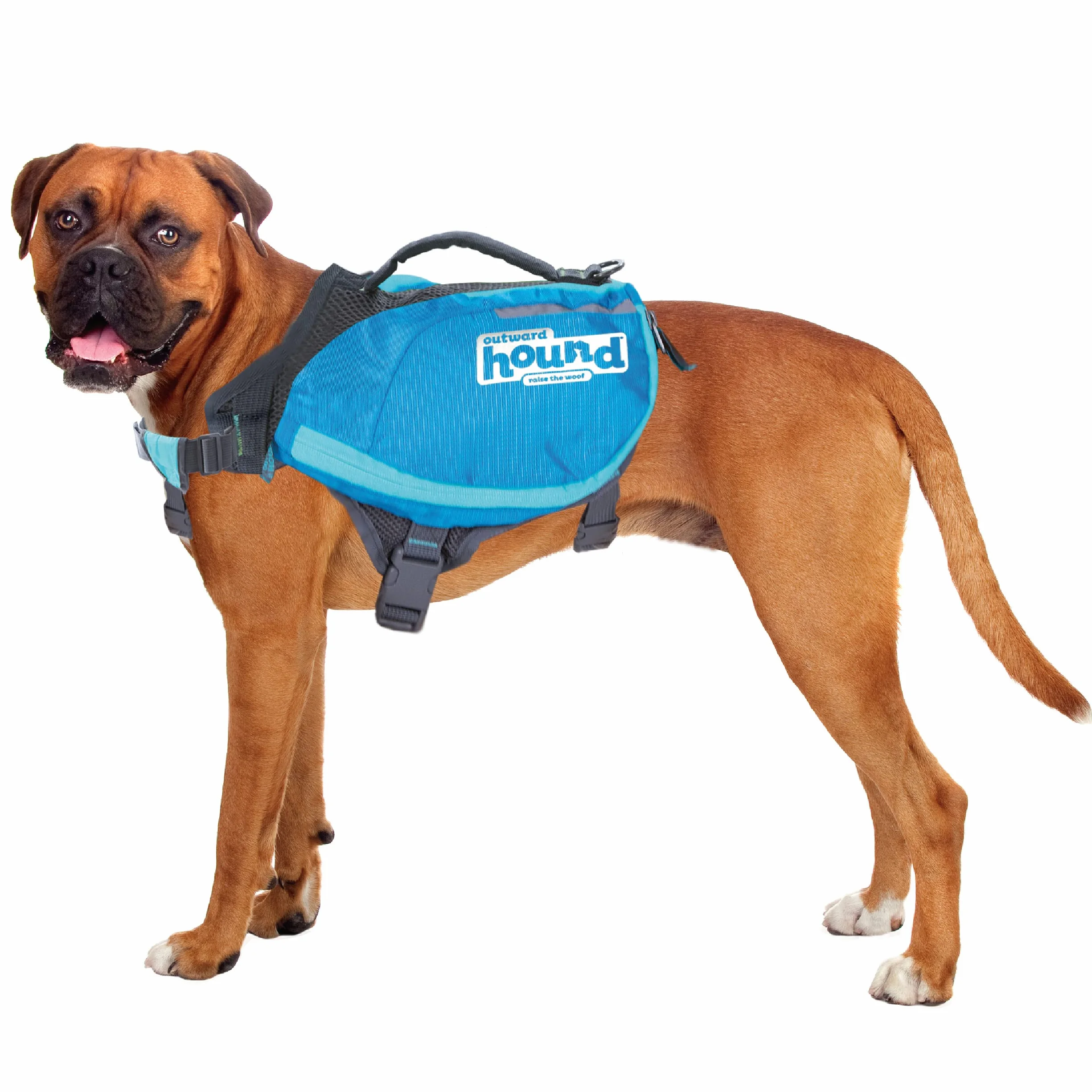 Outward Hound Daypak Sac à Dos pour Chien Grand Bleu