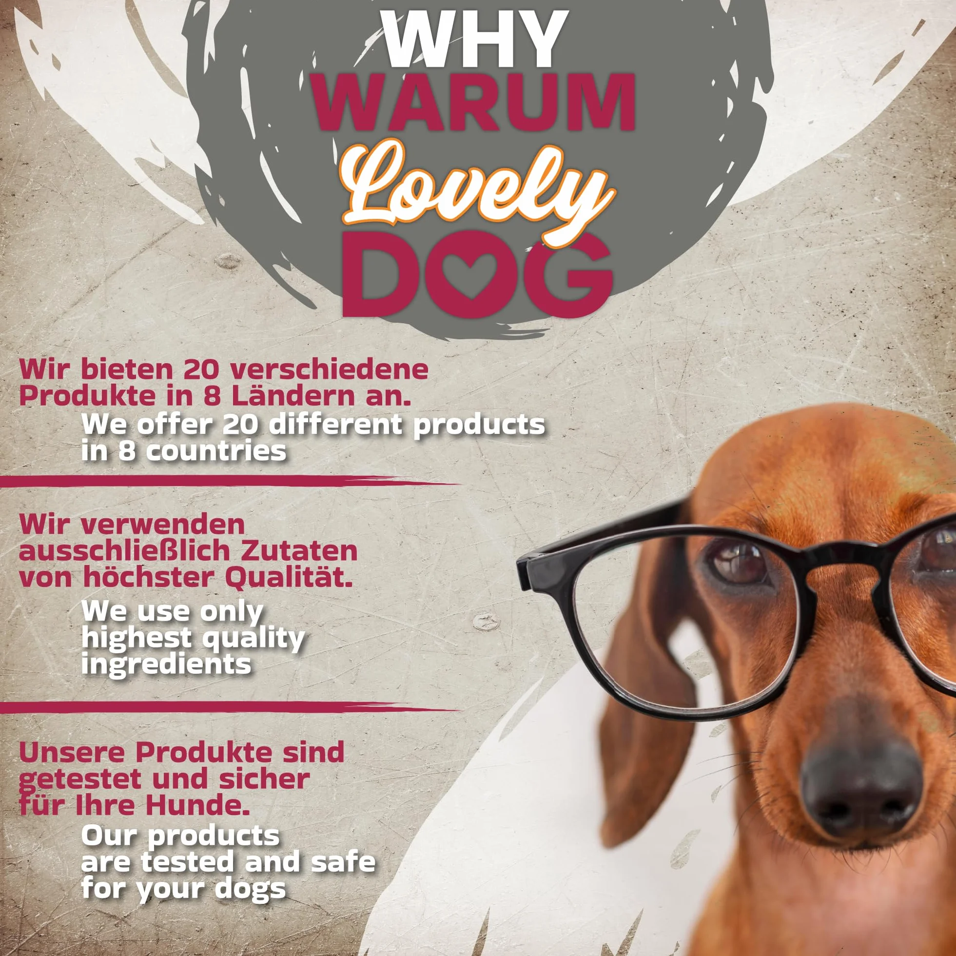 Oreilles de Porc pour Chiens 20 pièces (1kg) Friandises Naturelles sans céréales ni additifs Séchées à l’air