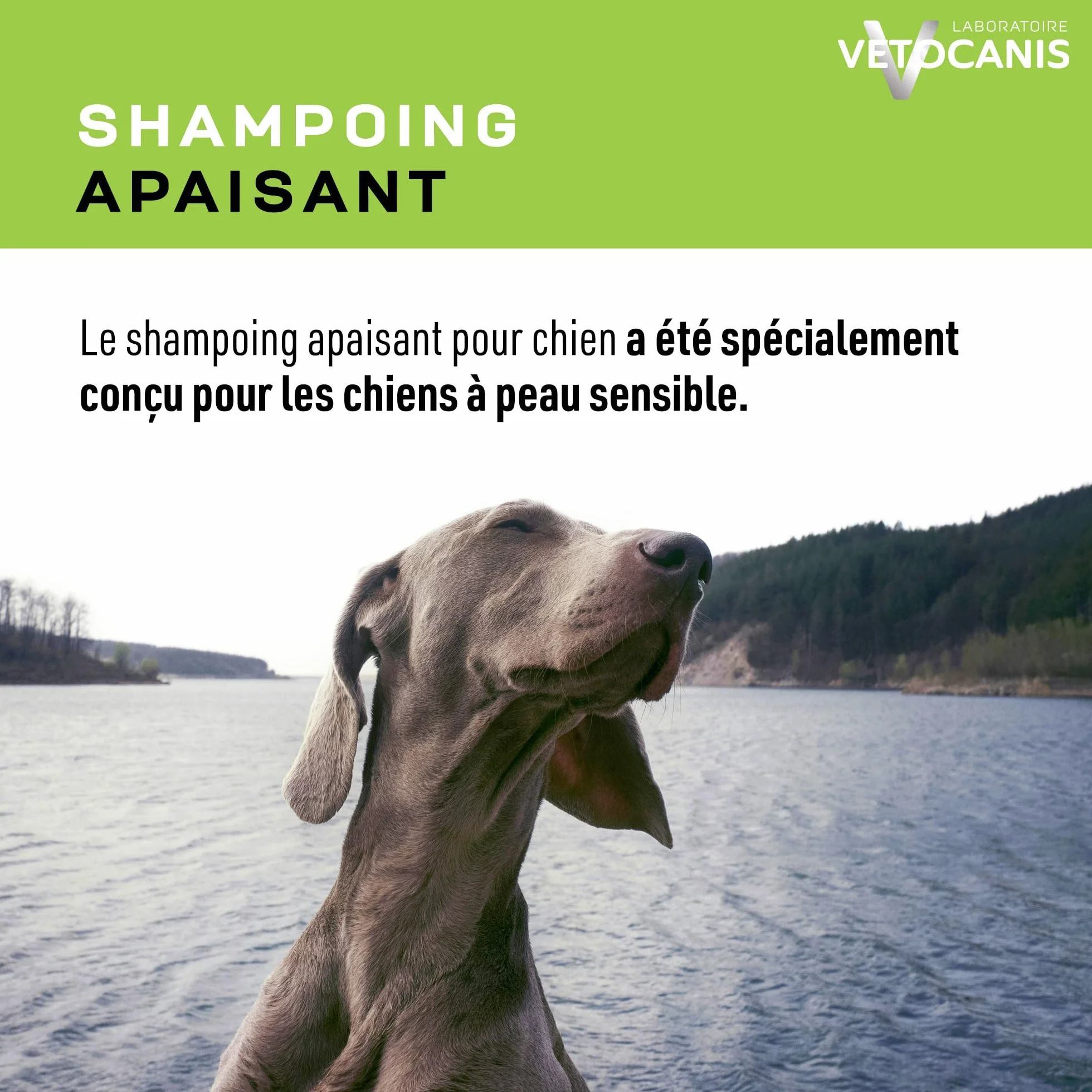 VETOCANIS Shampoing Hypo-allergénique, Peaux sensibles pour Chien, 0% de Parabène 0% de Silicone, Format 300ML