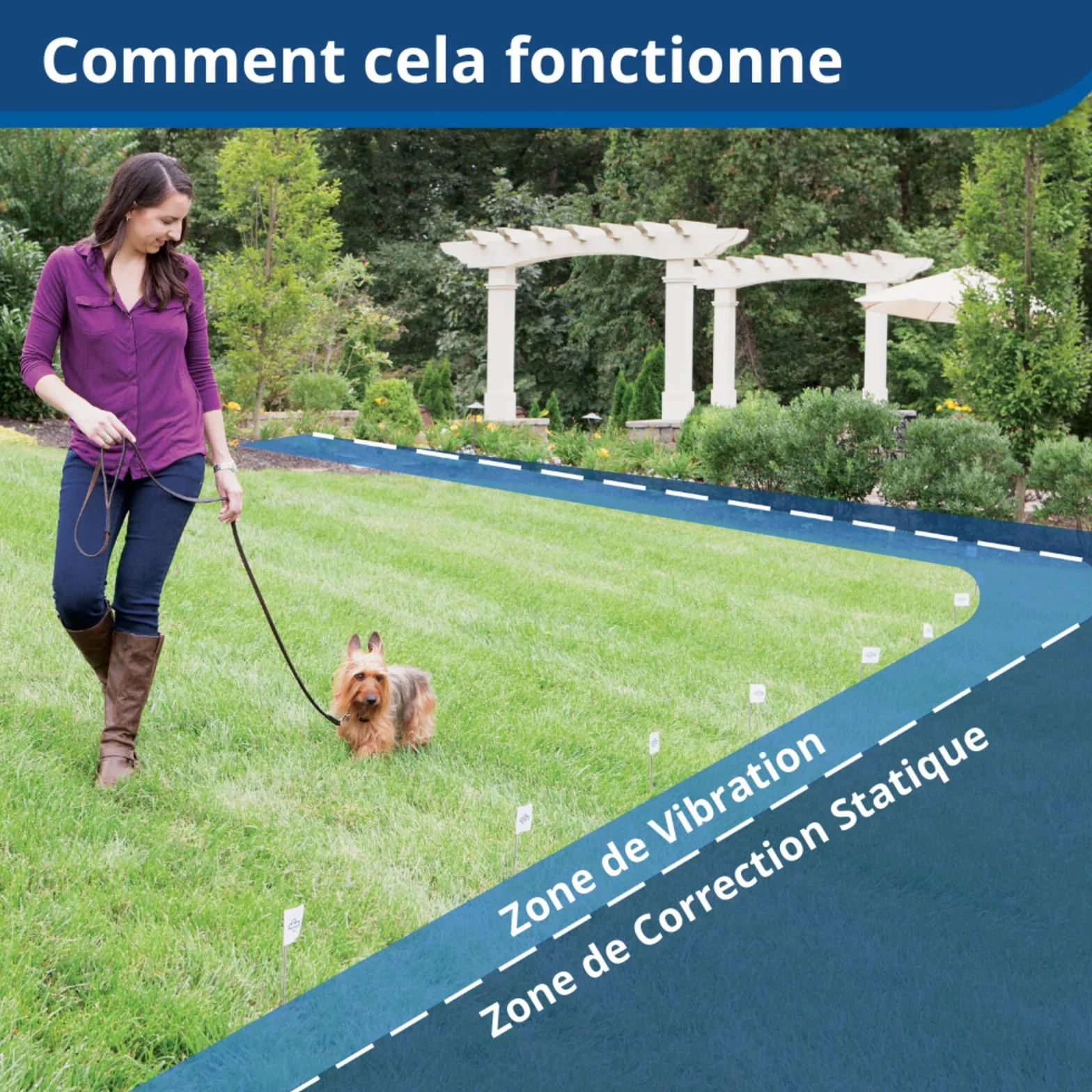 Petsafe Système De Clôture Anti-Fugue pour Chien Plus 3,6 Kg - 4 Niveaux De Stimulations - Imperméable - Jusqu'À 0.13 Hectares