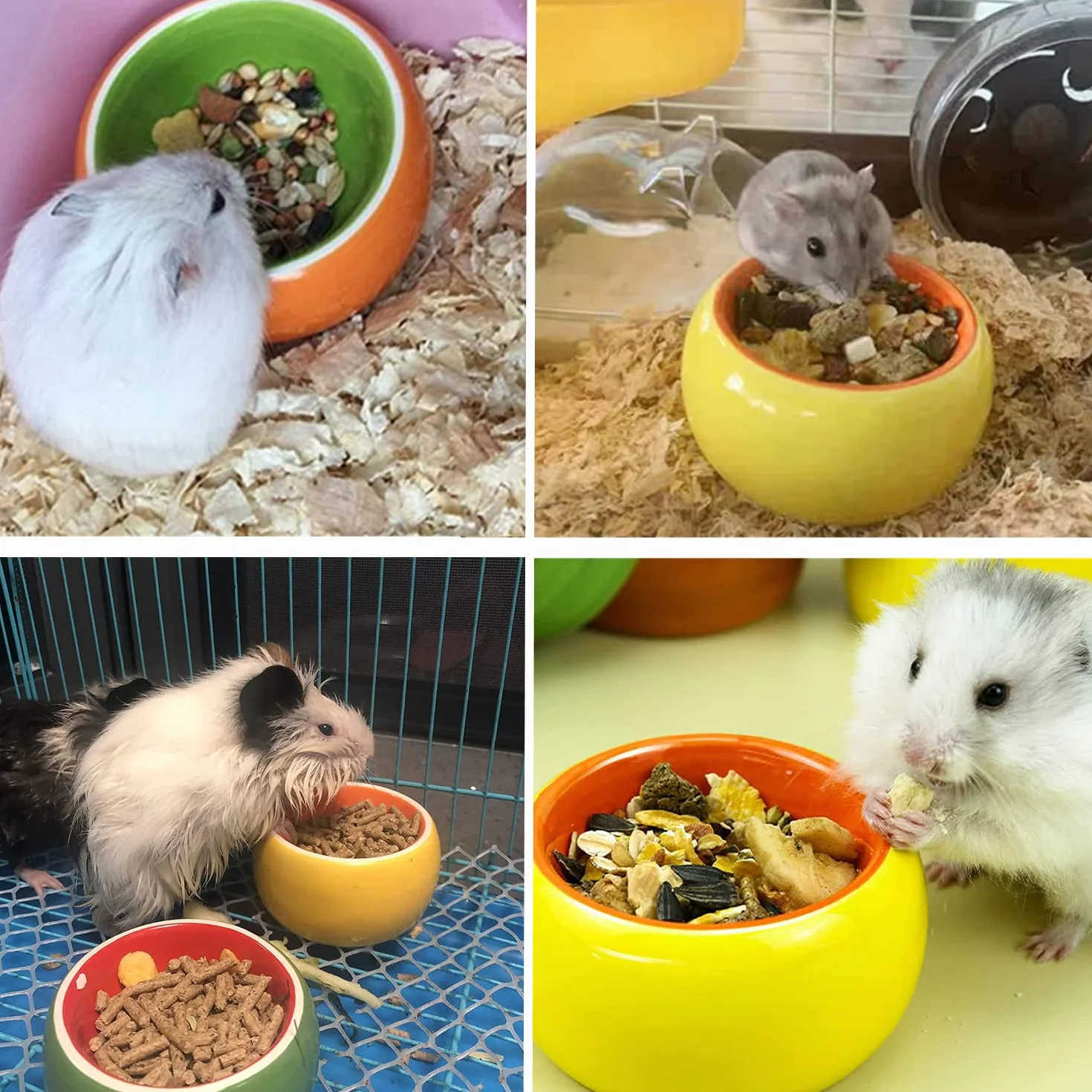 Lot de 3 Mangeoire en Céramique pour Rongeur Gamelle Petits Animaux Hamster Cochon d'Inde