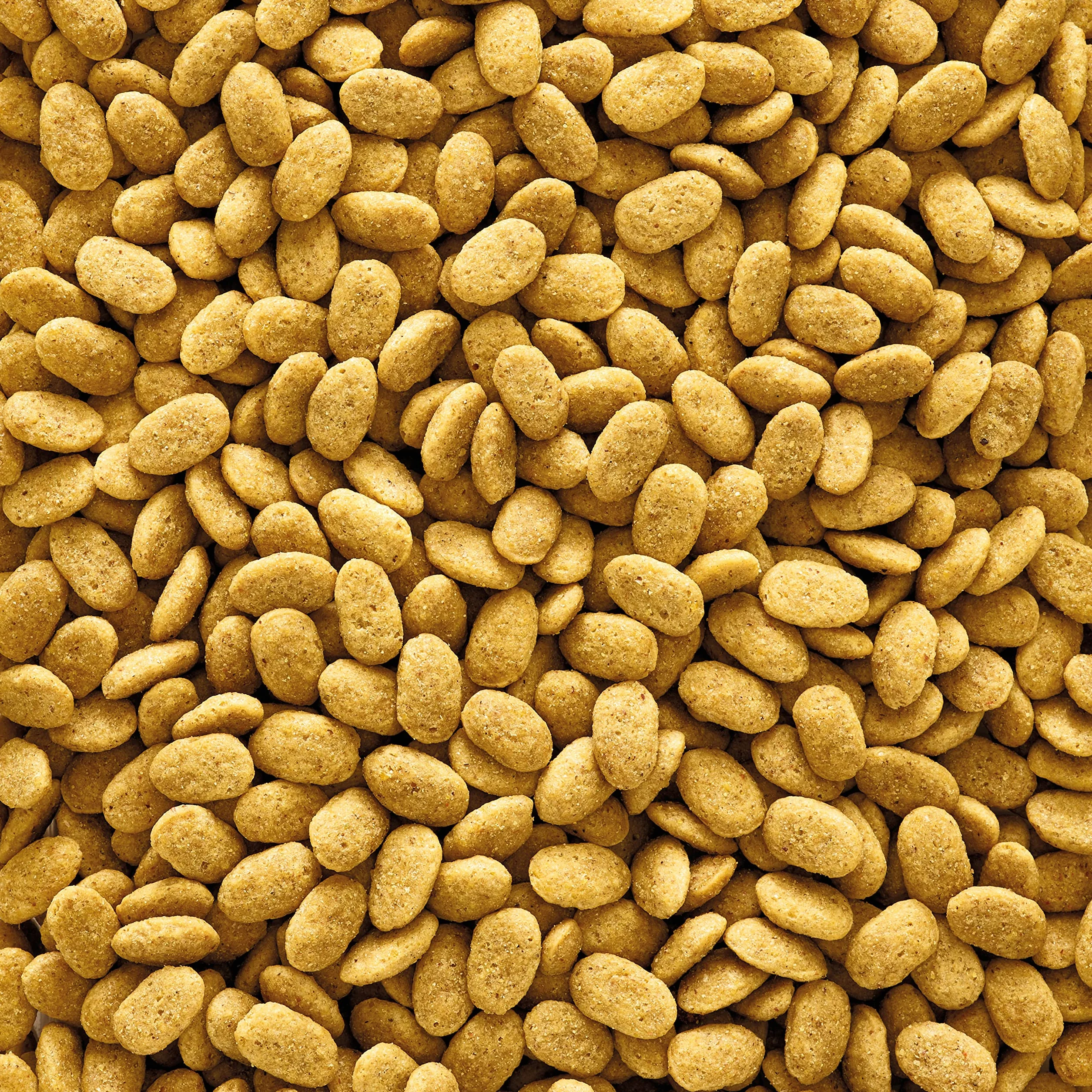 VERSELE-LAGA NutriBird P15 Original Granulés Extrudés Aliment Perroquet 10kg