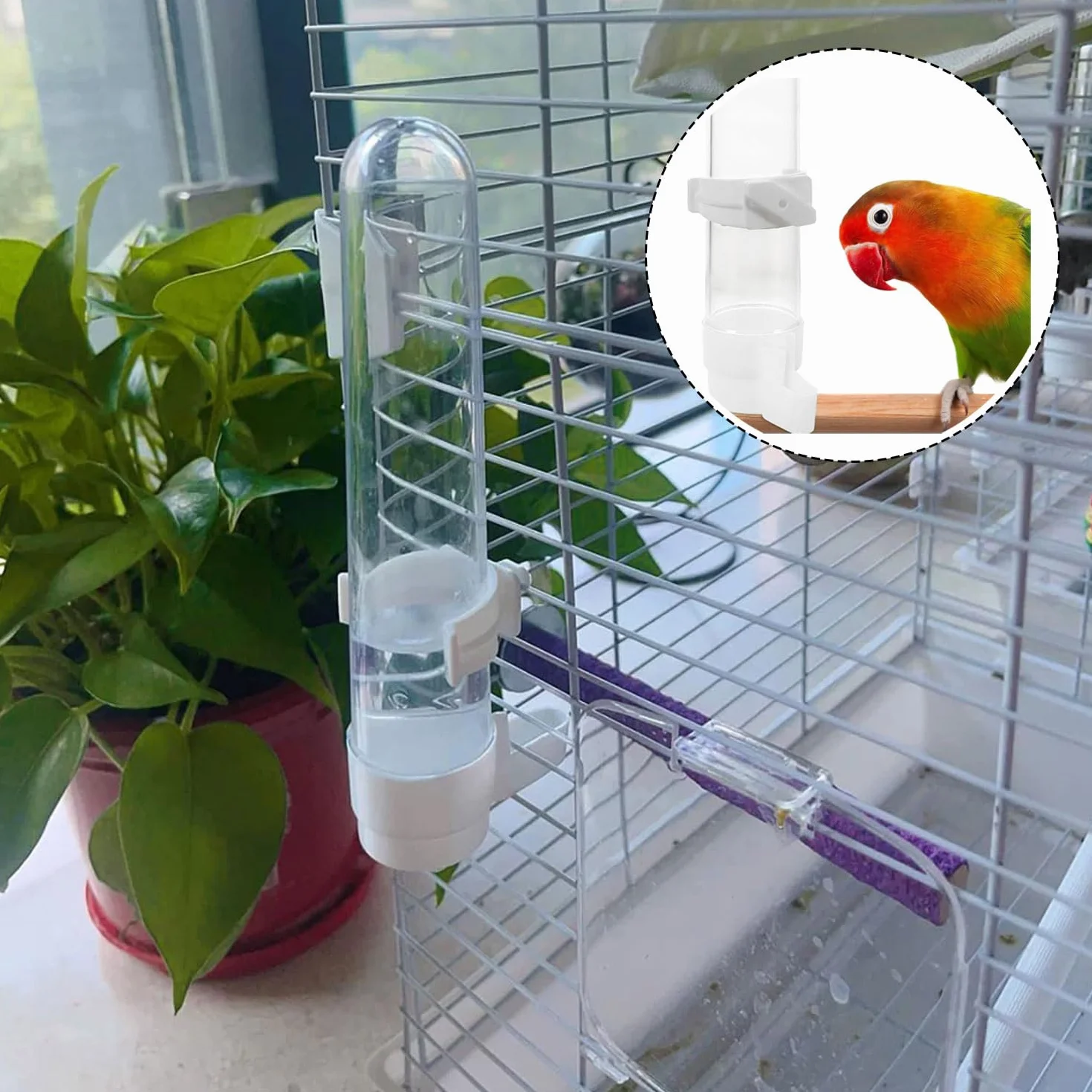 Abreuvoir Oiseaux Automatique 120ml Distributeur d'eau Transparent pour Cage Perruche Perroquet