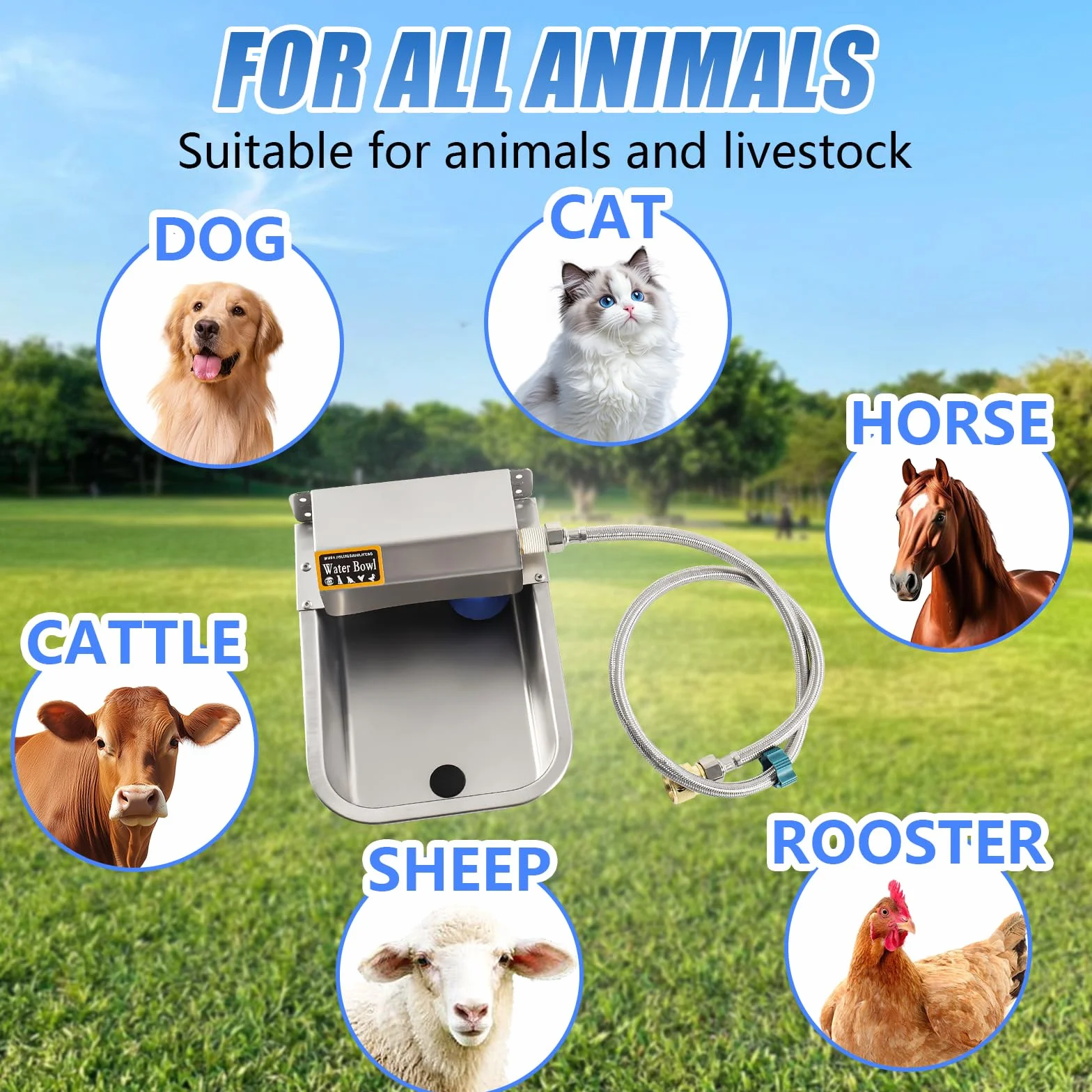 Abreuvoir Automatique en Acier Inoxydable 3L avec Tuyau 1m pour Chevaux Bovins Moutons Chiens Poules