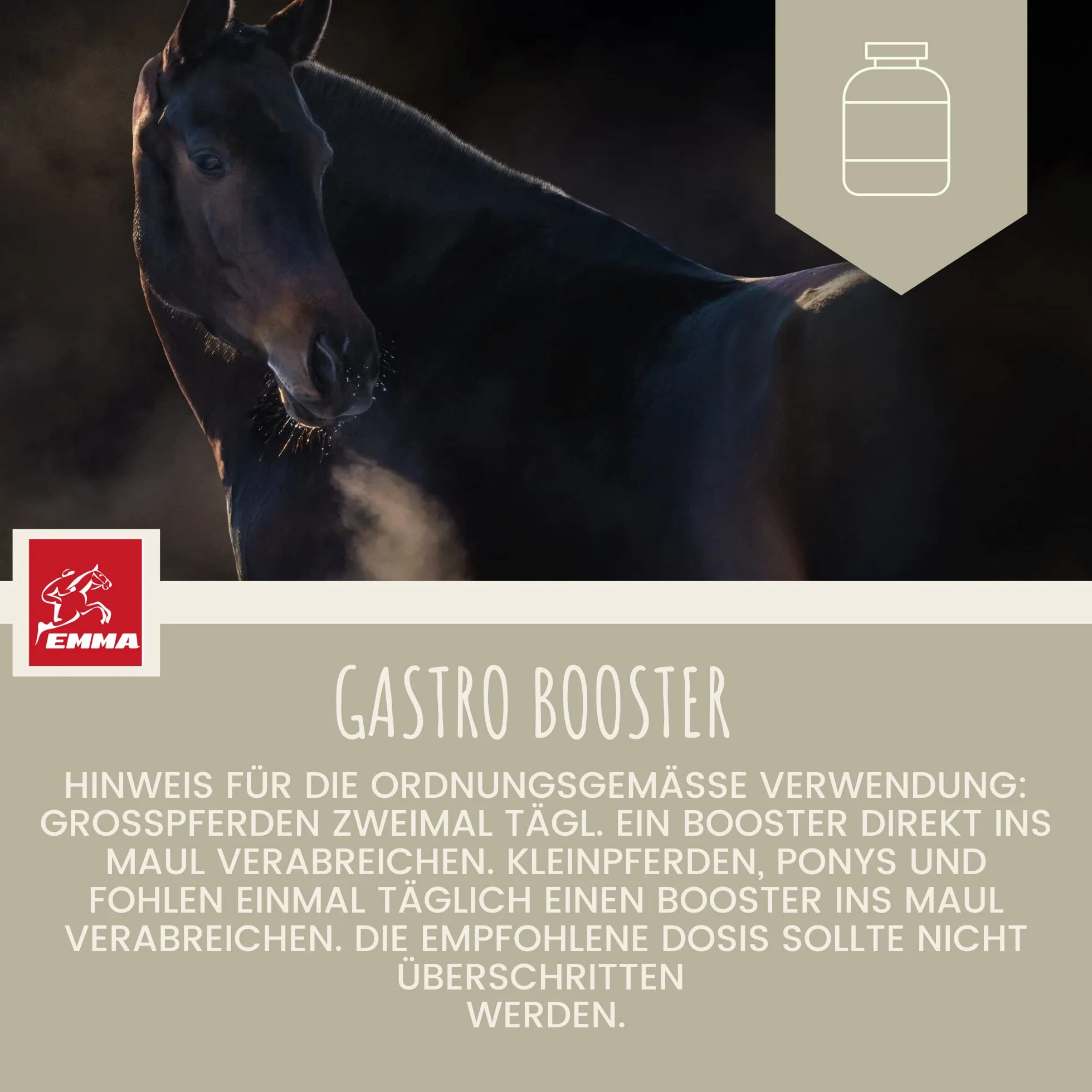 Pâte Gastro-intestinale Probiotiques Levure de bière Cheval Vitamine E Flore intestinale 30ml