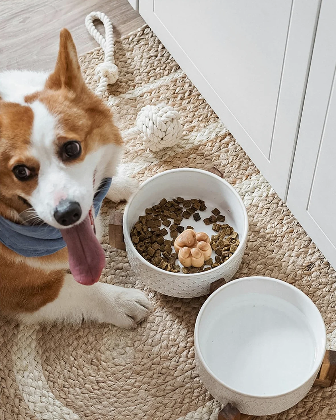 LE TAUCI Lot de 2 gamelles en céramique avec Support en Bois d'acacia, 3 Tasses pour Chat et Chien