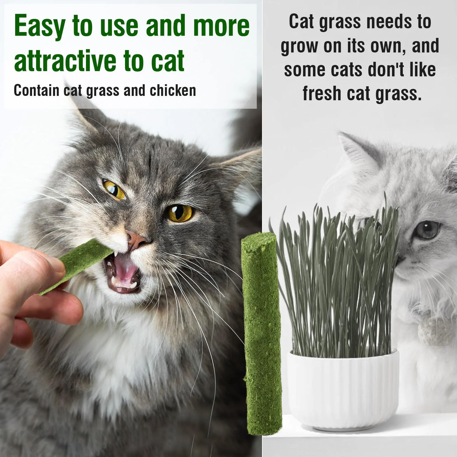 Herbe À Chat Bâton De Dentition 120g Jouet À Mâcher pour Chat