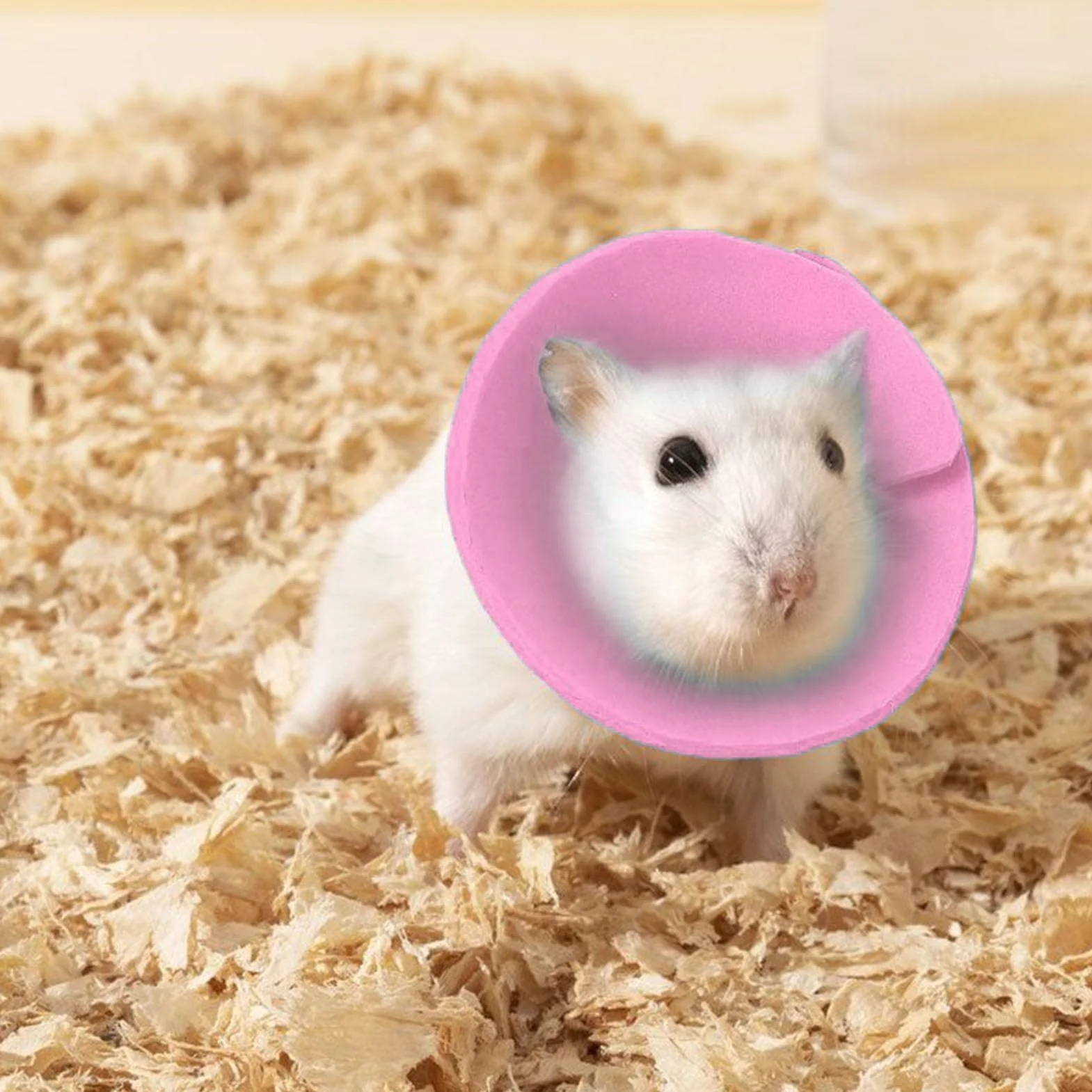 Collier de protection pour hamster - Collier de protection pour perruche - Collier anti-morsure pour petits animaux - Prévention de la chute des poils - Pour chat, furet, perruche, souris