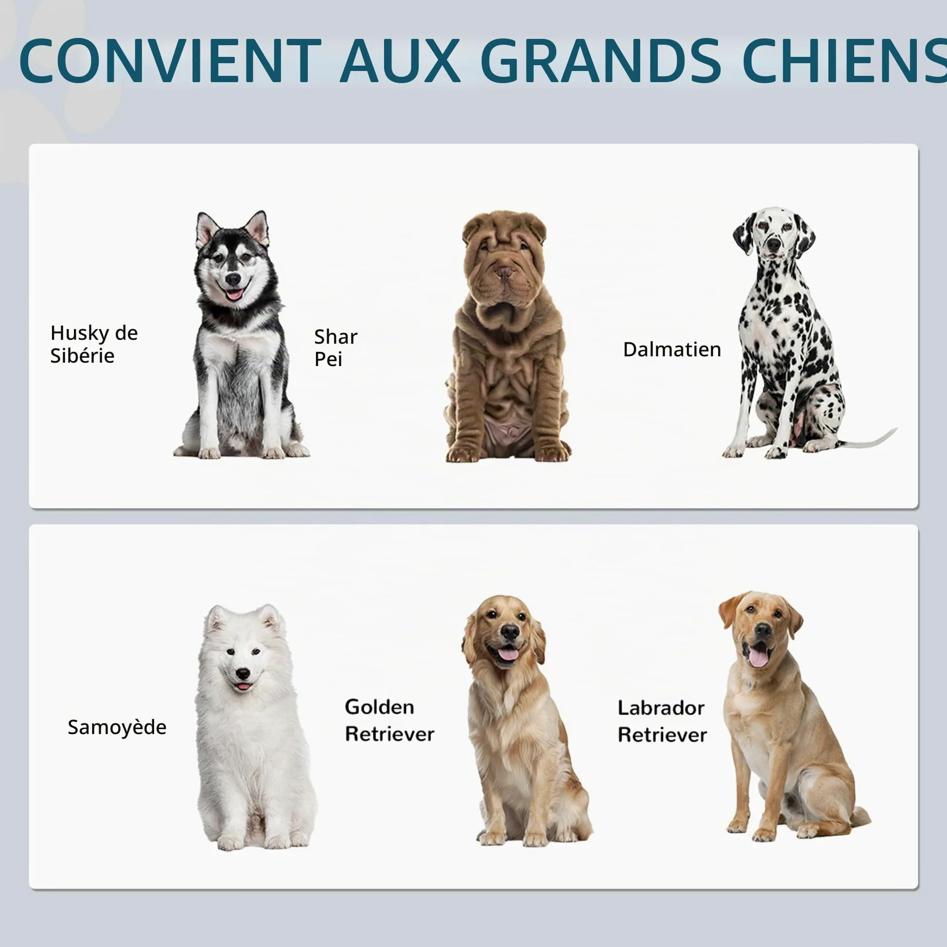 PawHut Grandes gamelles surélevées avec Armoire de Rangement 37L Blanc | Support gamelle surélevée, gamelle nourriture, station alimentation chien