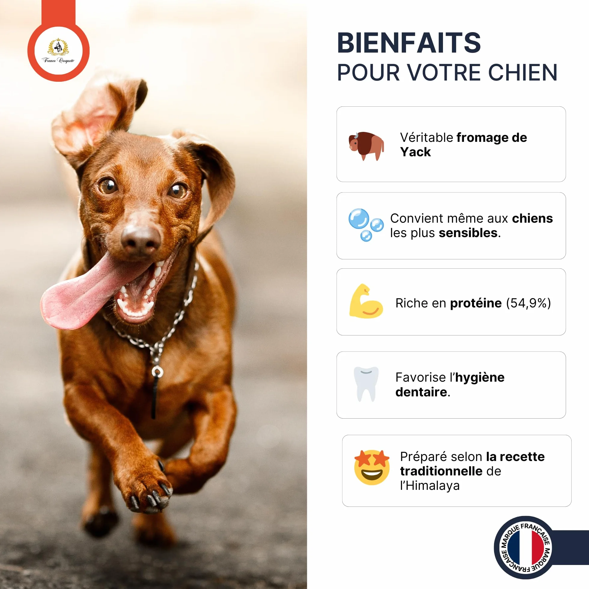 Fromage de Yak M 60-90g friandise naturelle à mâcher pour chien moins de 20kg