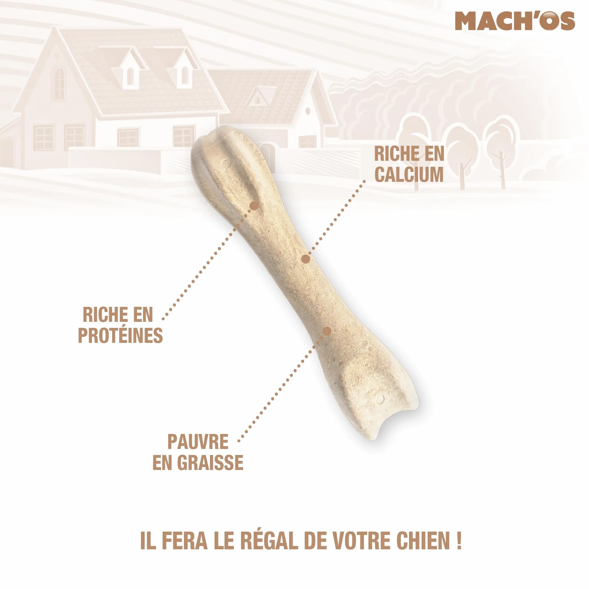 RIGA Mach'os Bon'os pour Chien S - Riche en Protéines et Calcium - Hygiène Buccale - Mastication - x6