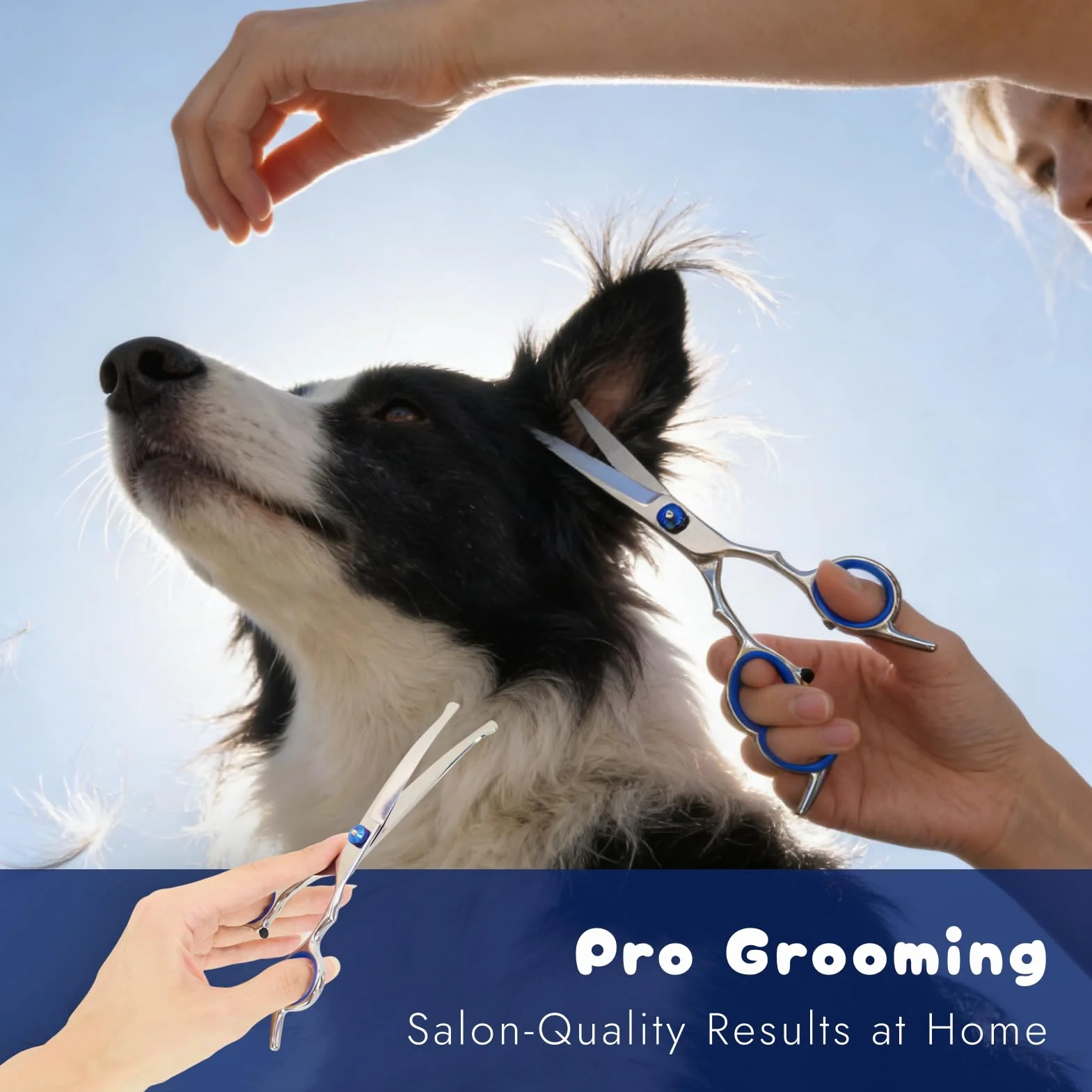Ciseaux Courbés pour Chien 6,7 Pouces avec Chiffon de Nettoyage, Ciseaux de Toilettage Professionnels en Acier Inoxydable, Sécurité Pointe Arrondie, Idéal Pour Poils de Chiens et Chats