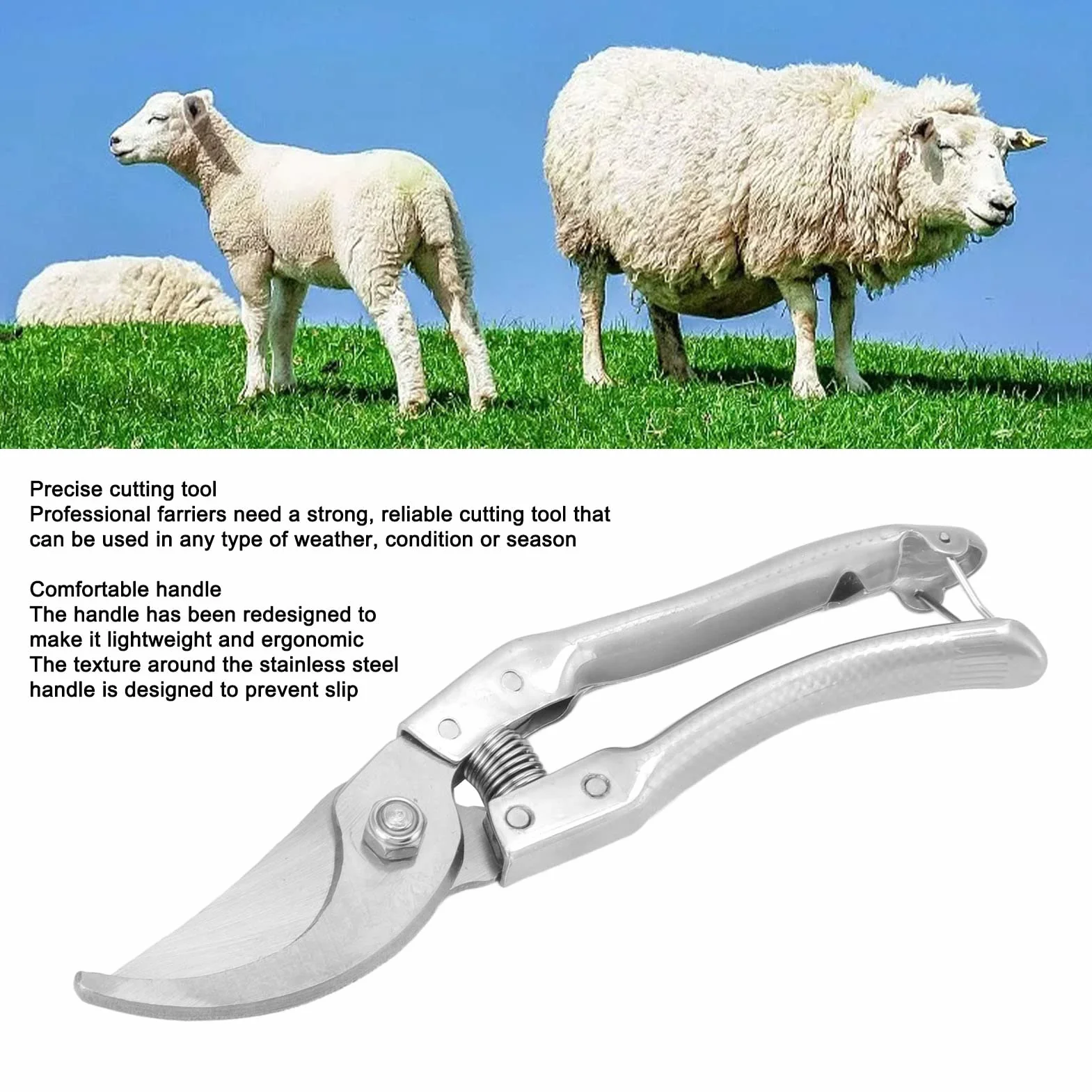 Cisailles ongles pour Moutons, Pince de Cisaillement Pig Trotter avec Ressort Forte Outil Réparation Ongles Animaux Argent