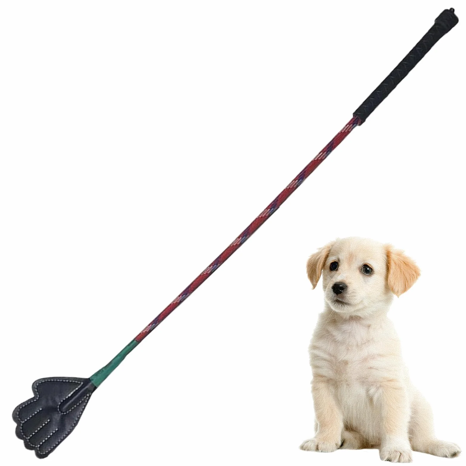 Bâton de dressage pour chien 45 cm 63 cm portable