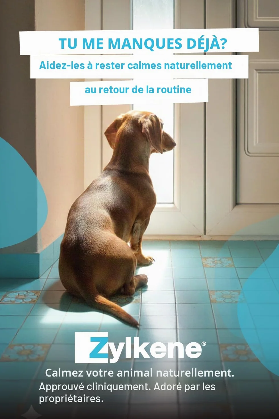 Vetoquinol Zylkène 75mg 20 gélules