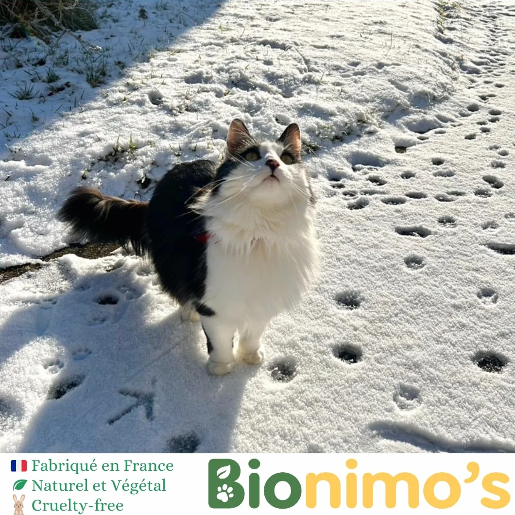 Répulsif Extérieur Chiens Chats Naturel Végétal Gritz Maïs Huile Sésame Bio 100% Français