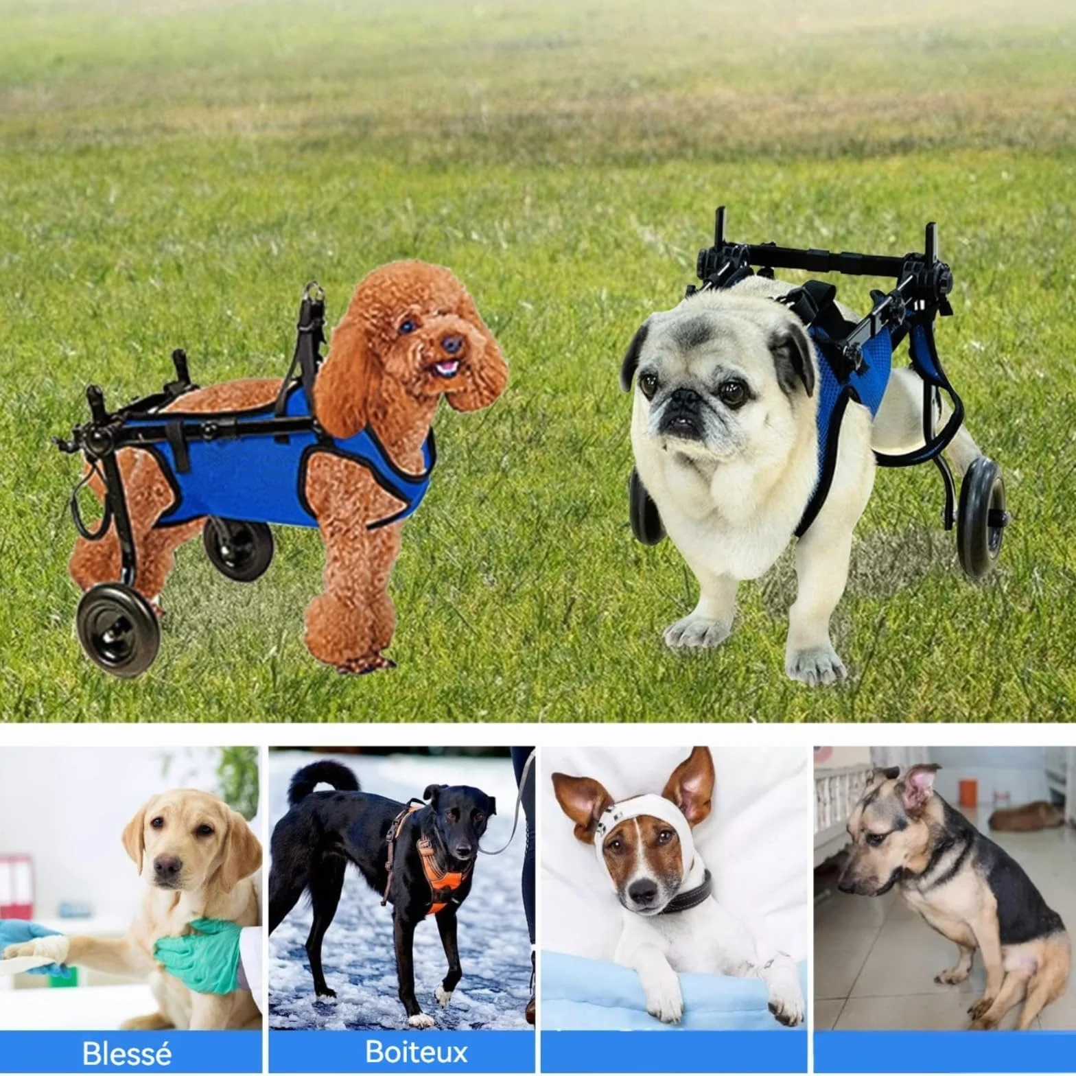 Chariot réglable pour animal domestique handicapé, aide à la mobilité des membres postérieurs