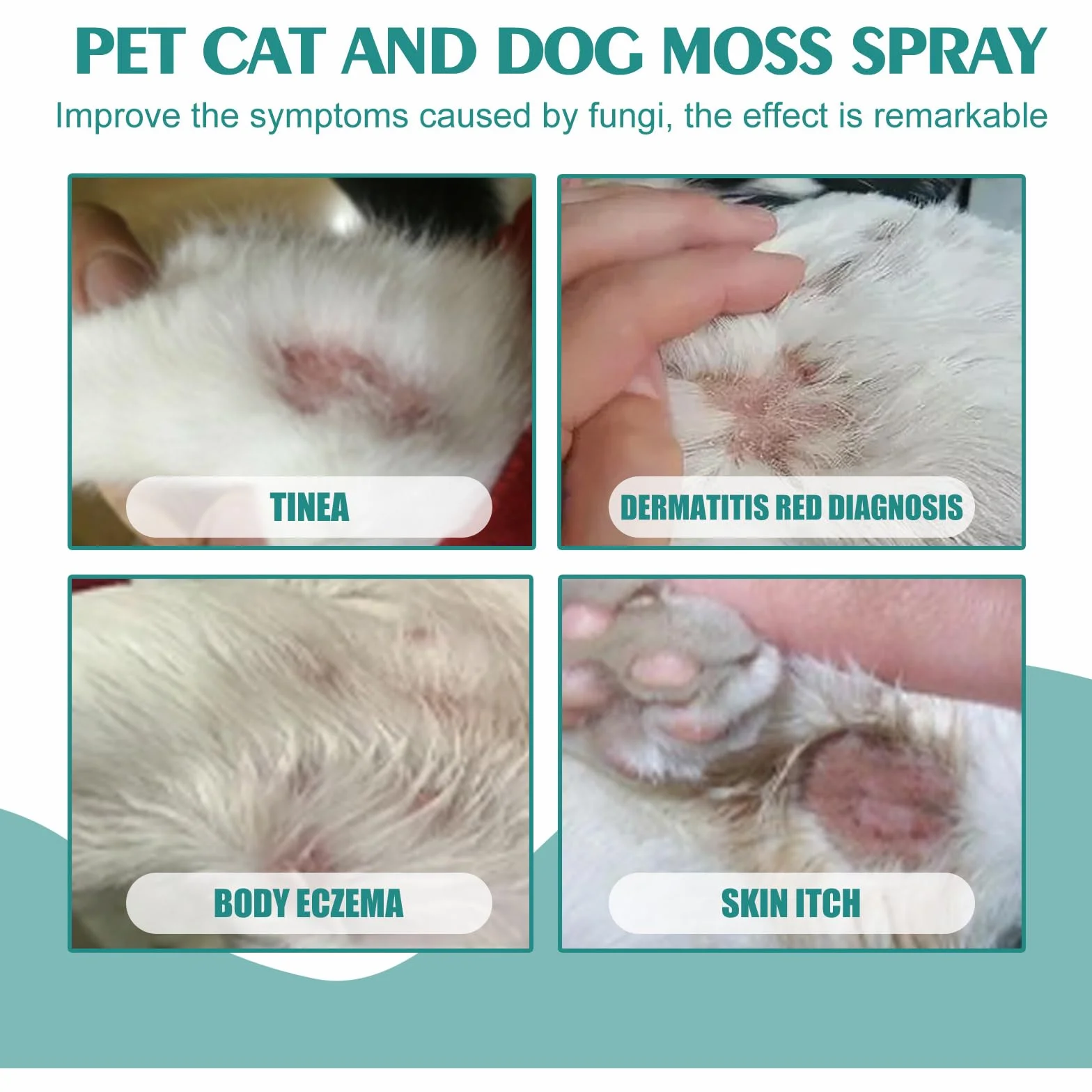 Spray Antiseptique pour Chiens et Chats, Soin des Plaies, Cicatrisation, 1PC