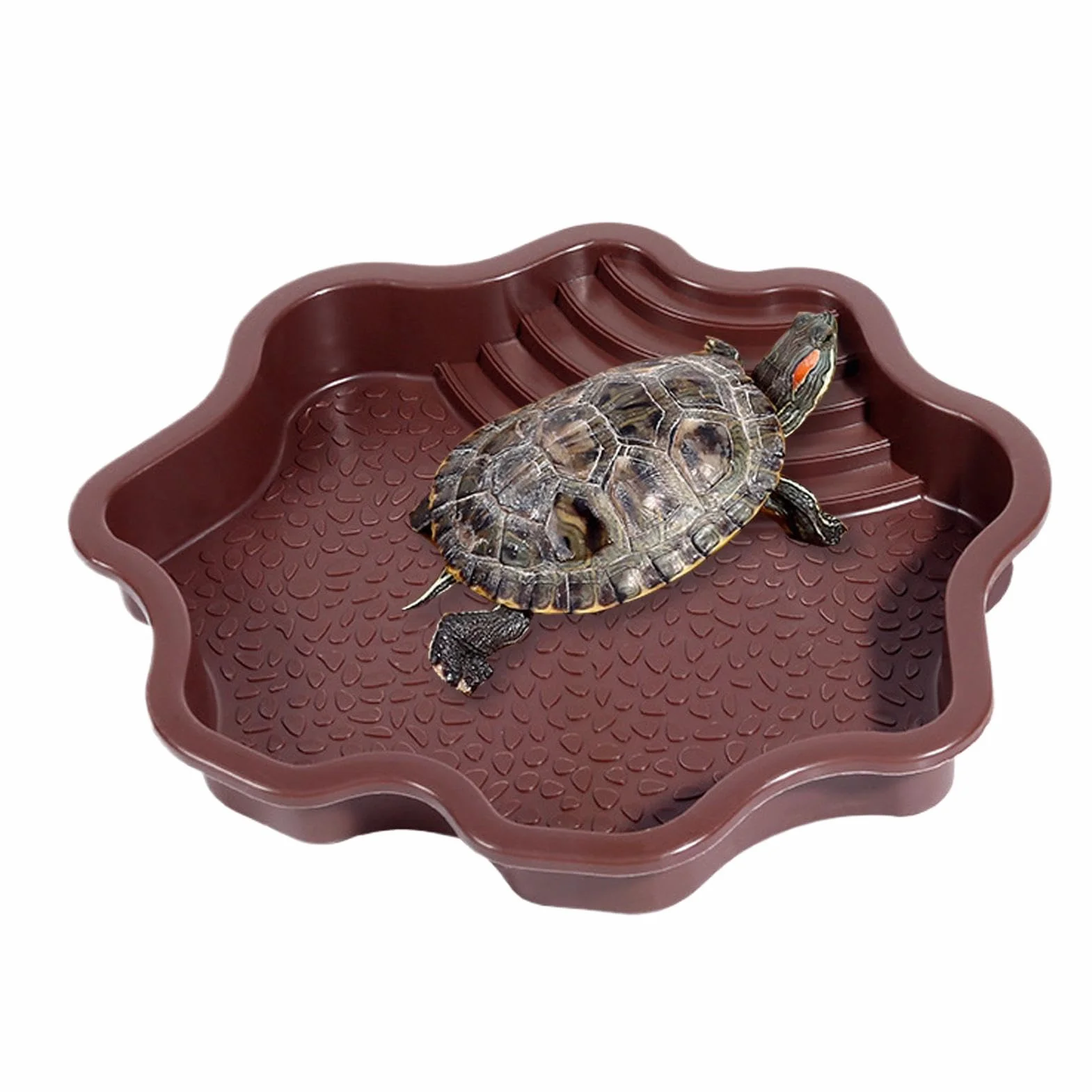 Plat à tremper pour reptiles, bol d'eau et nourriture avec marches pour tortue de piscine