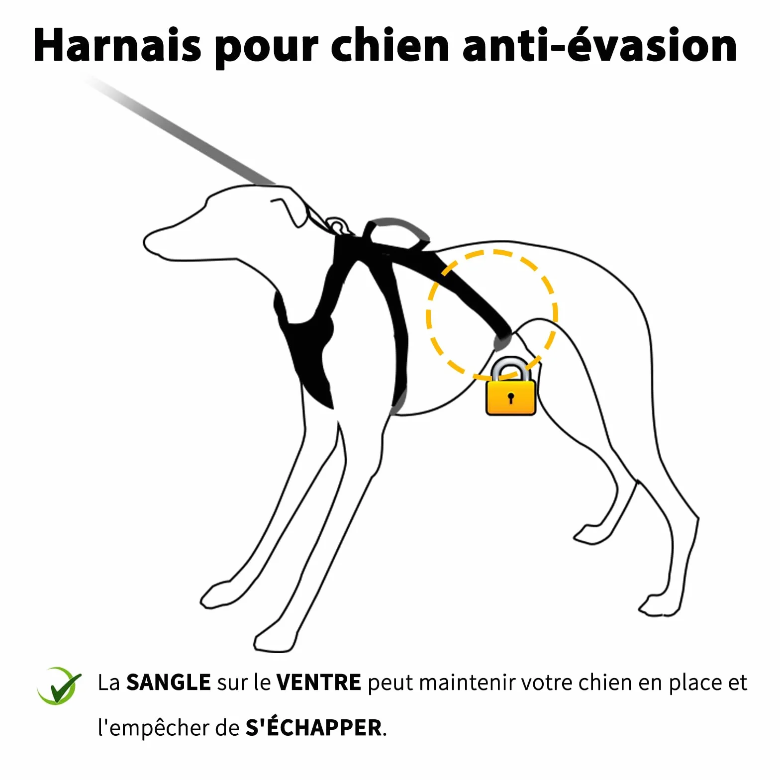 Harnais Anti-Fugue pour Chien Entièrement Réfléchissant avec Poignée, Respirant, Durable, Gilet Réglable pour Chiens de Taille Moyenne