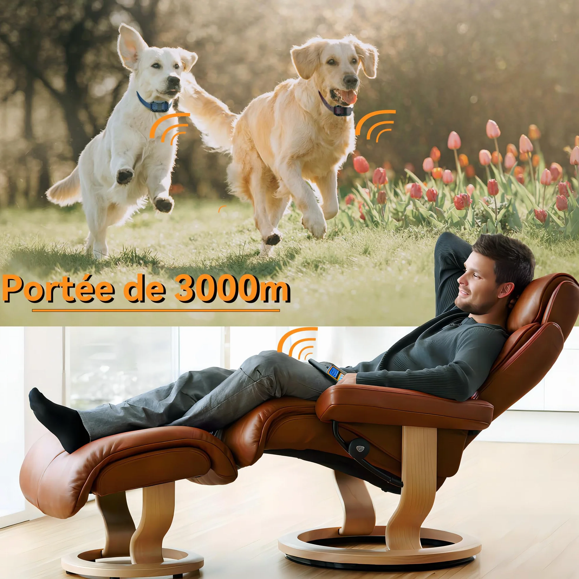 Meloive Collier de Dressage pour Deux Chiens,Collier Rechargeable avec Contrôle Manuel Portée 3000 Mètres,4 Modes d'Entraînement Choc Électrique/Sonore/Vibration/Lumière,IPX67 Résistant à l'eau