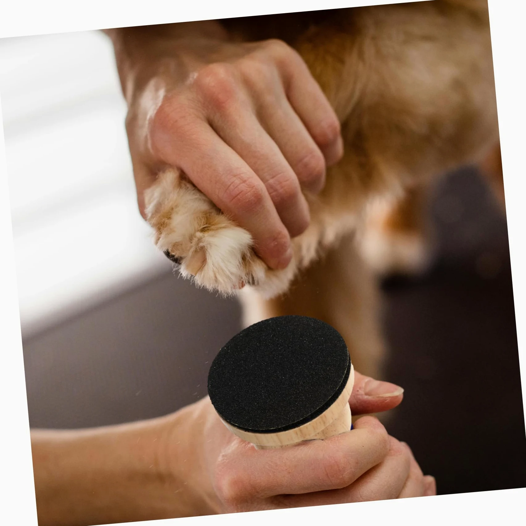 YARNOW Lot De 5 Limes À Ergonomiques pour Chien avec Manche en Bois pour Les Pattes Et Les des Animaux De Compagnie