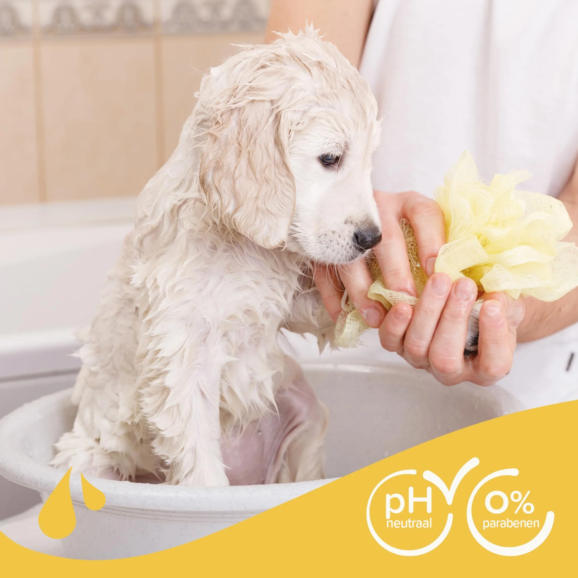 BEAPHAR – Shampooing Essentiel pour Chiot – Extra-Doux – Poil Doux – Contient de la Camomille et de l'Aloe Vera – sans parabène ni Silicone – pH Neutre – Produit Vegan – Prêt à l'emploi – 250 ML