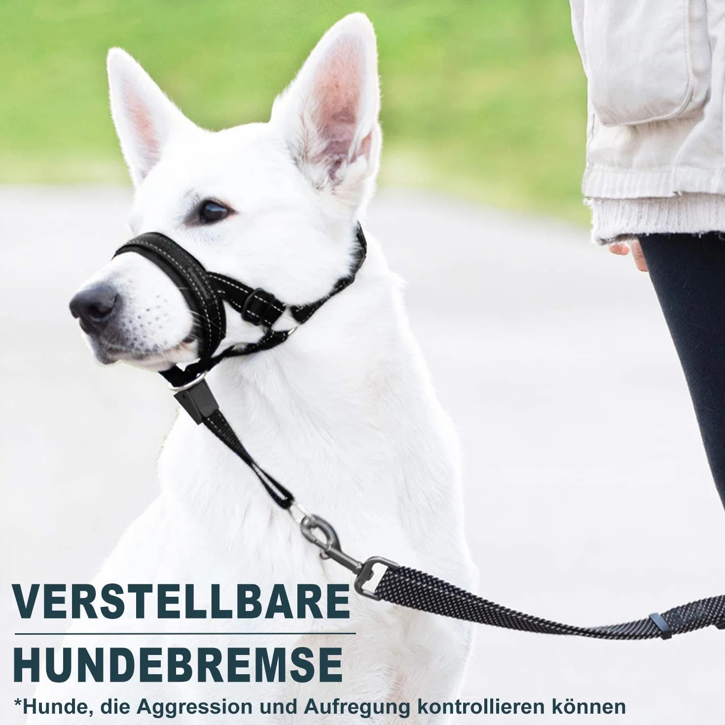 Voarge Harnais de dressage pour chien, muselière pour animaux de compagnie, facile à installer, léger, avec sangle de nez rembourrée, protège-dents pour chien, support d'entraînement pour éviter les