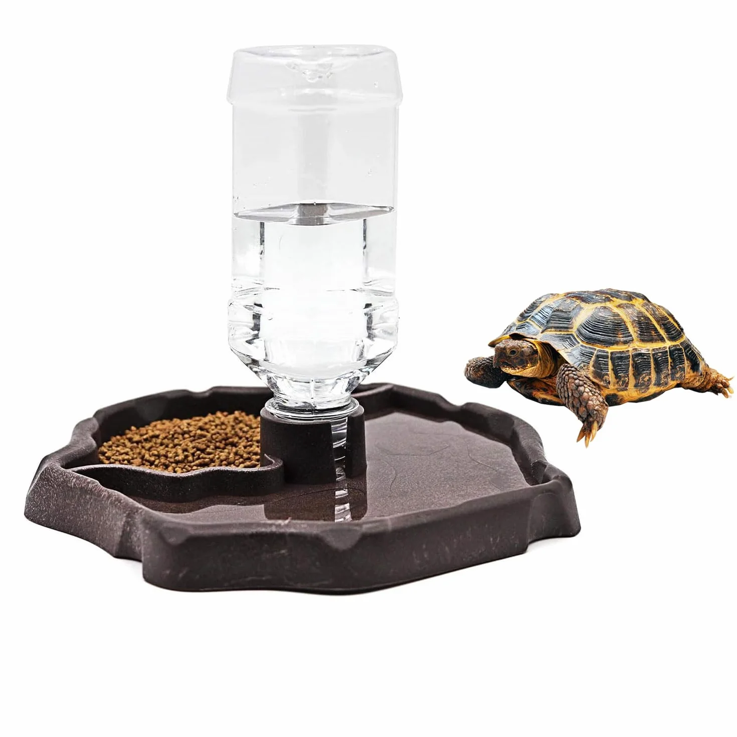 JOYOLA Bol à Eau pour Reptile 2 en 1 Mangeoire Gamelle Tortue