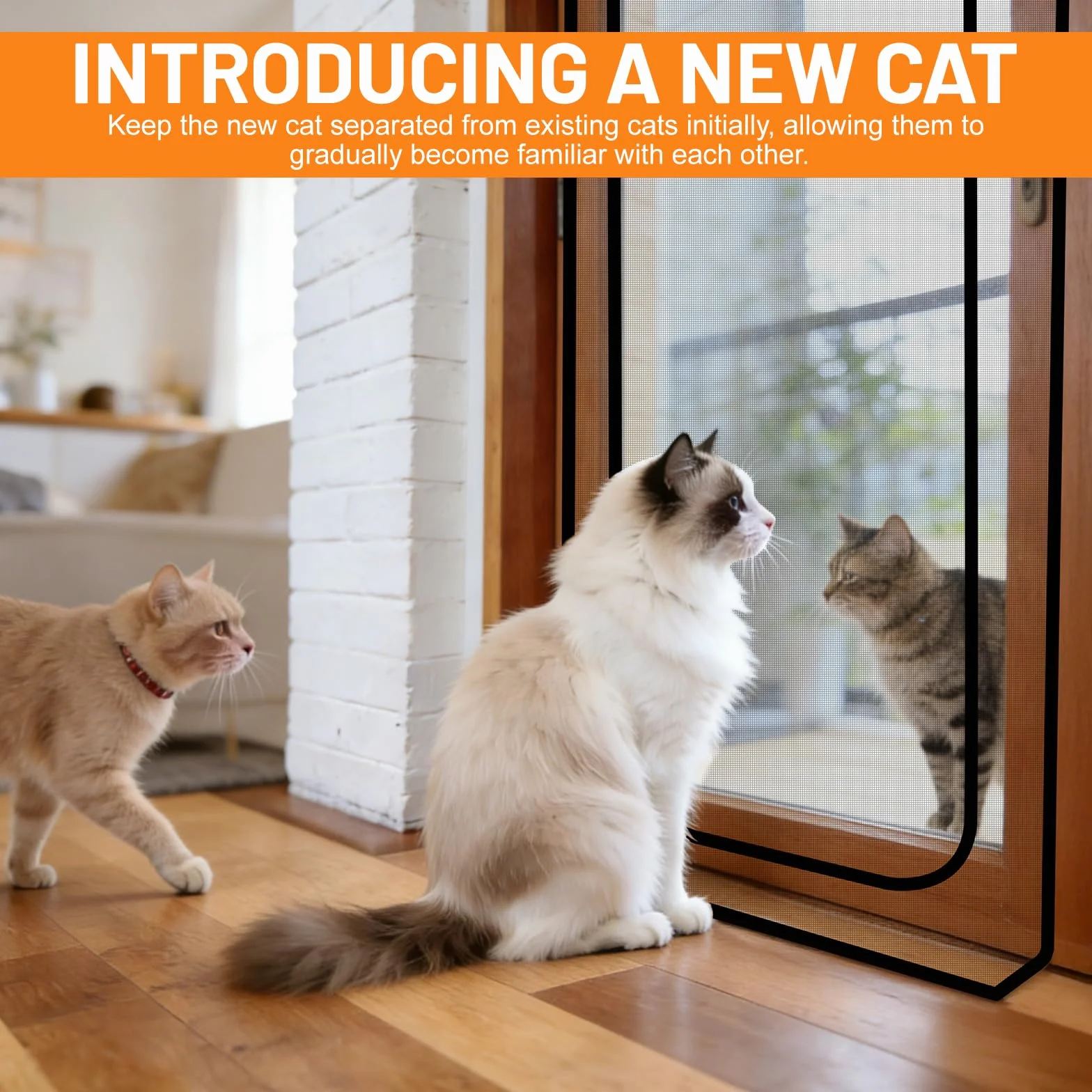 Porte moustiquaire pour Chat 80x200 cm avec Fermeture éclair