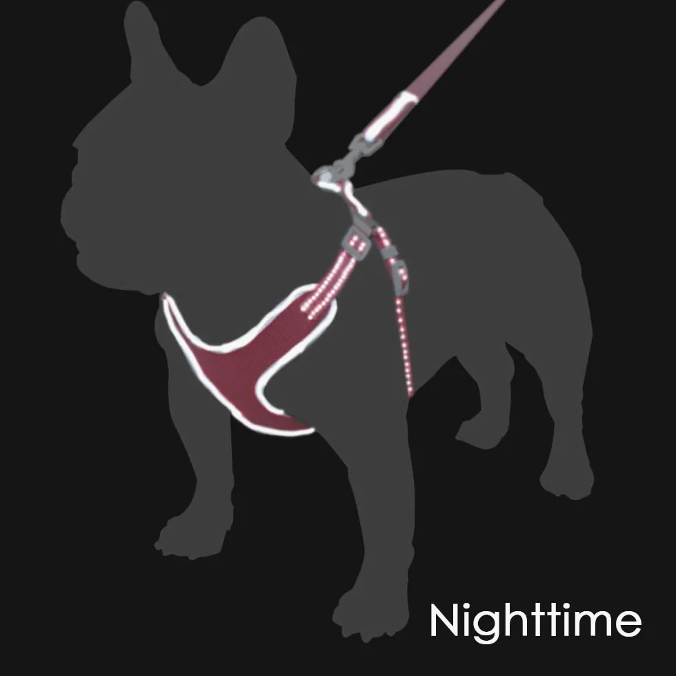 NX Ceinture de sécurité respirante pour chien en été, ceinture de sécurité sans laisse pour chiots de petite/moyenne taille qui se reflète la nuit, fournitures pour animaux de compagnie, L Poitrine 61