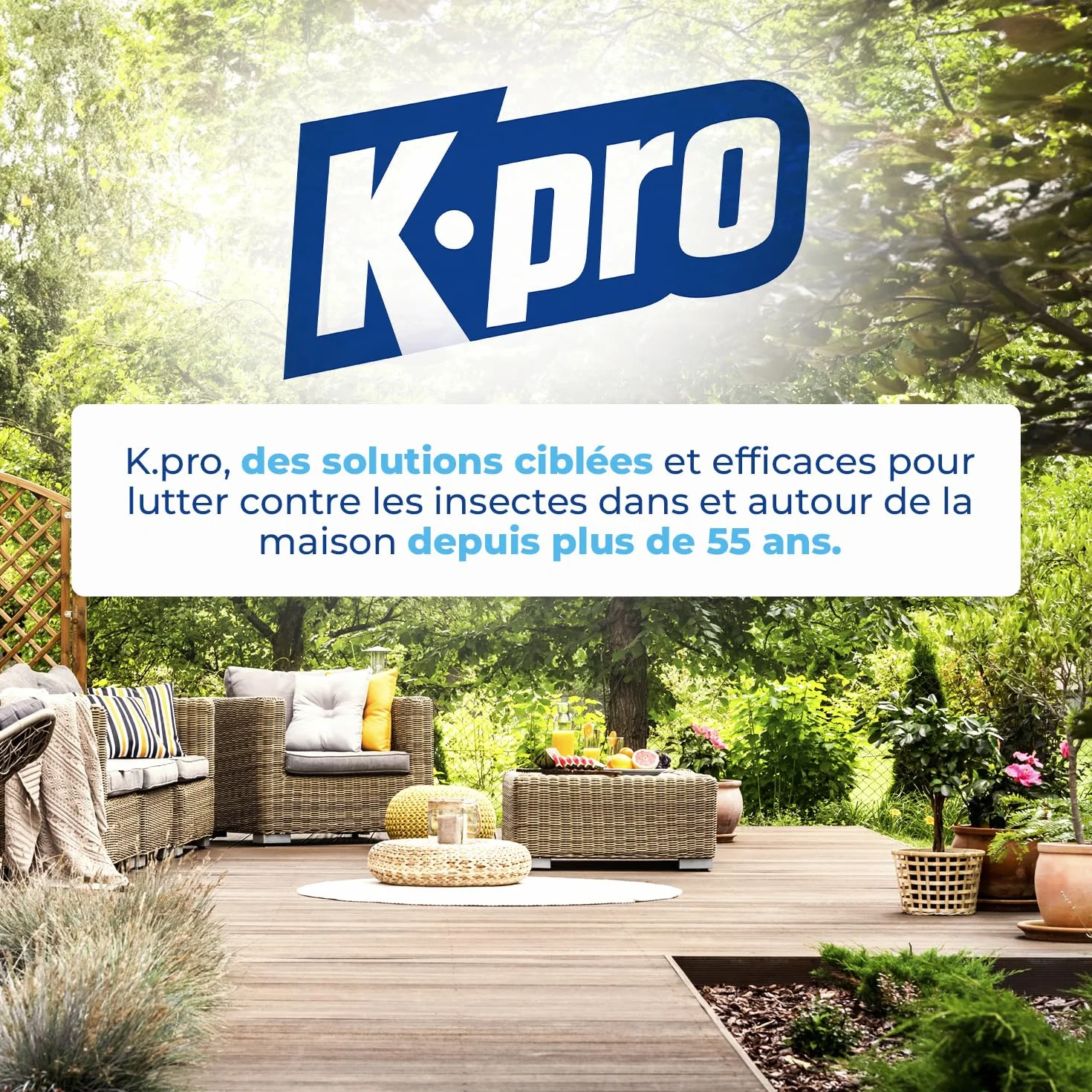 K.PRO Répulsif Chiens et Chats 500ml Action Immédiate Extérieur Intérieur