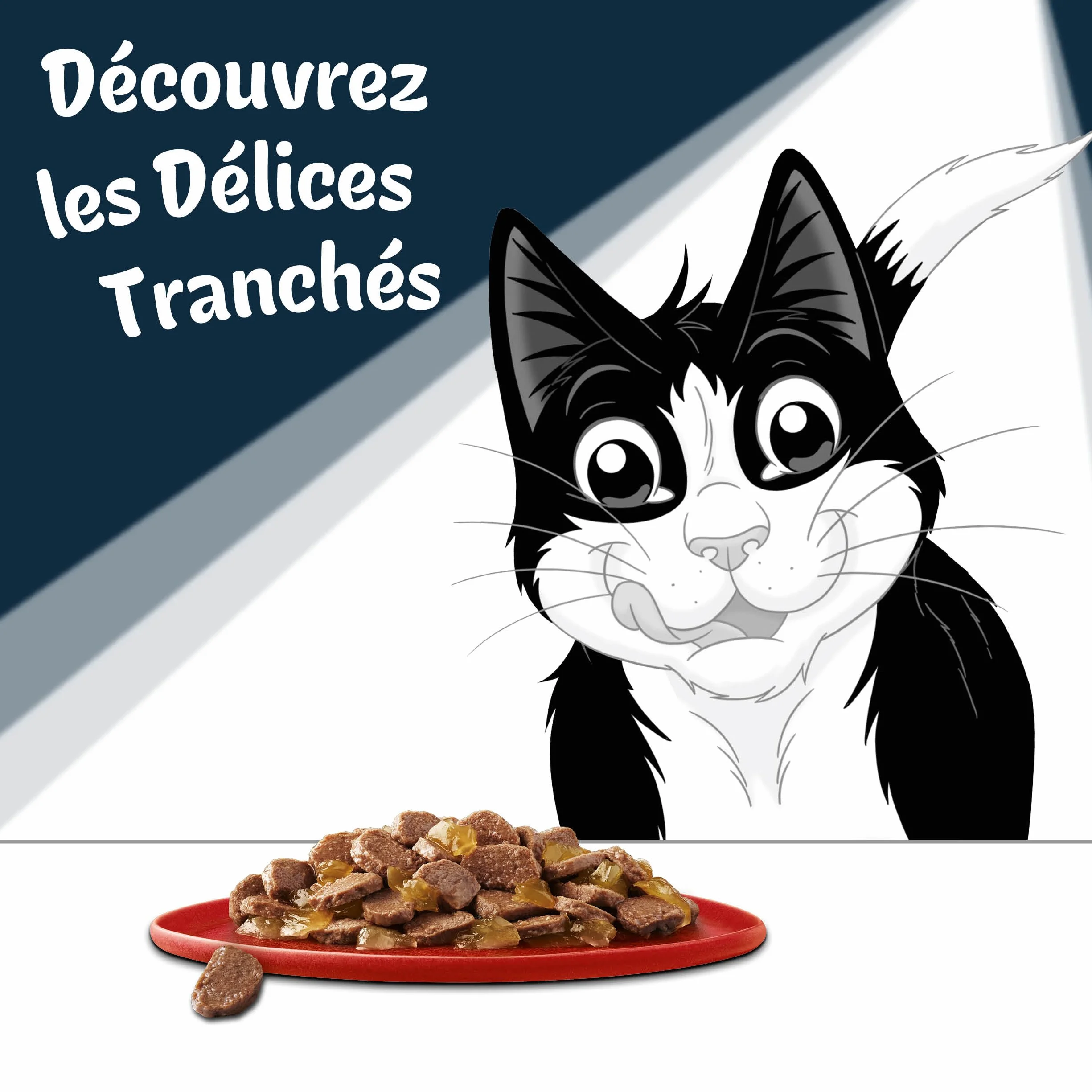 FELIX | Délices Tranchés | Sélection de la Campagne | En Gelée | Alimentation complète | Chat Adulte | au Poulet, Saumon, Cabillaud et Canard | Sachets Fraîcheurs | (12 x 85g)