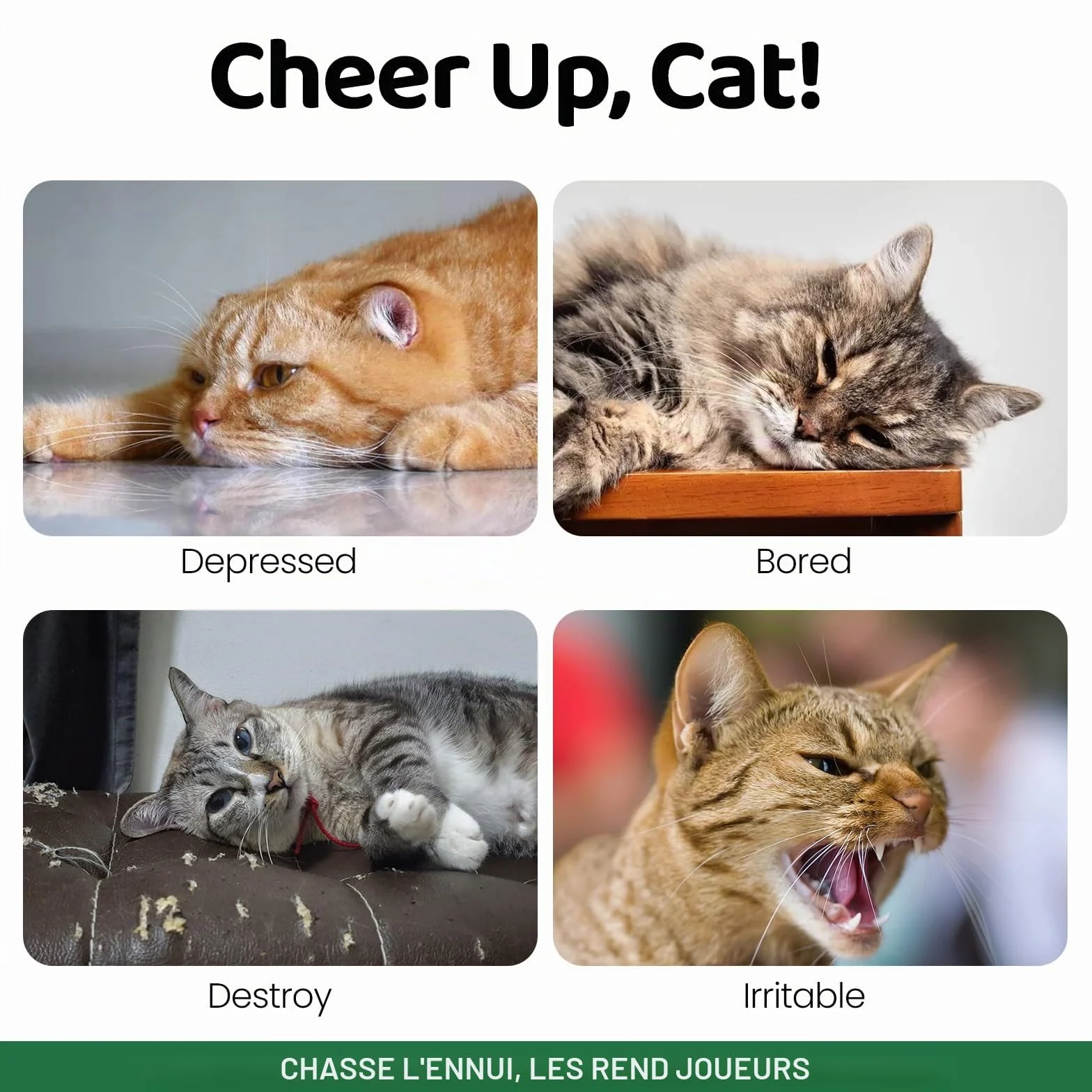 Jouet interactif en peluche pour chat herbe à chat résistant aux morsures chenille souris hérisson