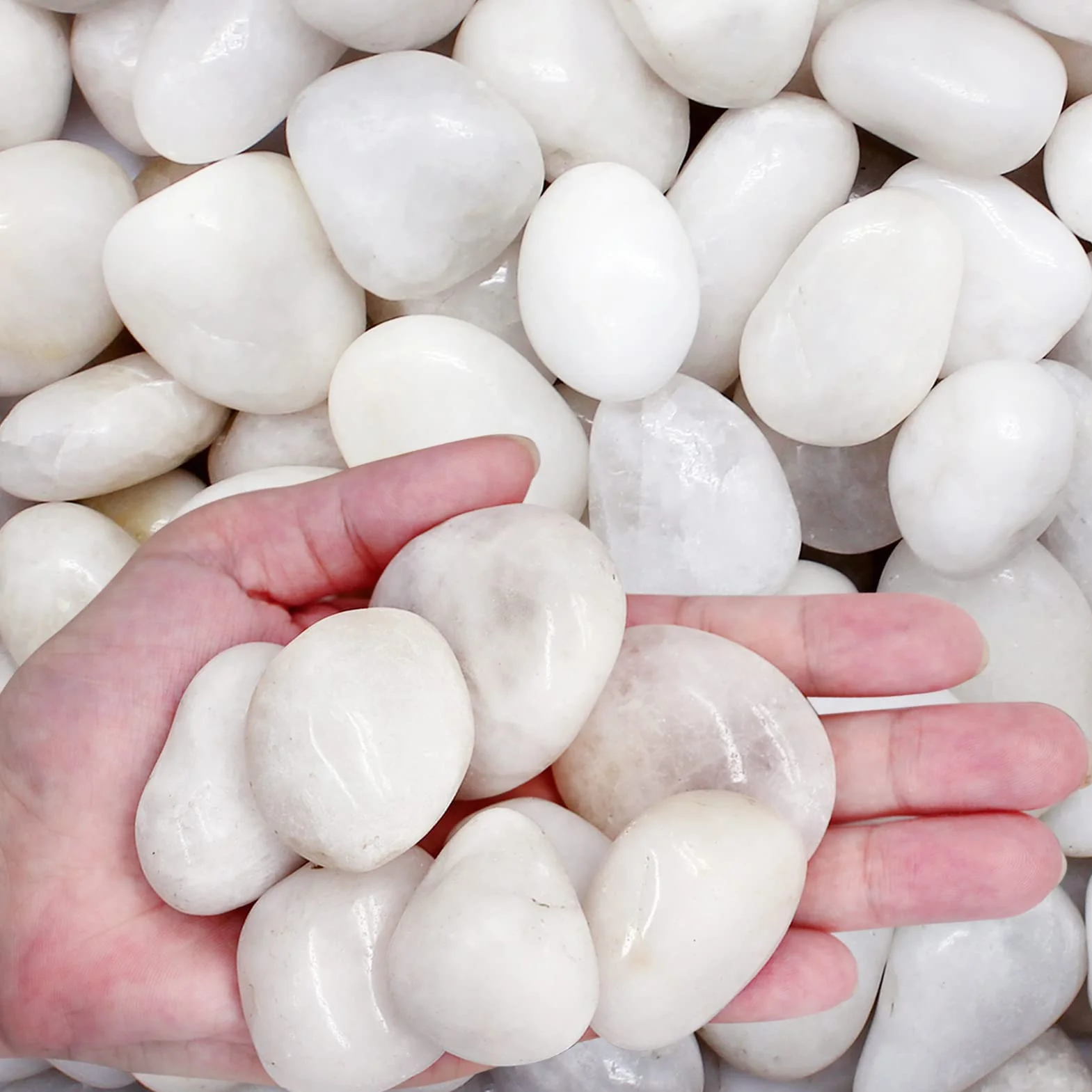1 kg de galets blancs décoratifs naturels polis pour plantes, décoration d'intérieur, gravier d'aquarium, remplissage de vase, jardin féérique, aménagement paysager extérieur