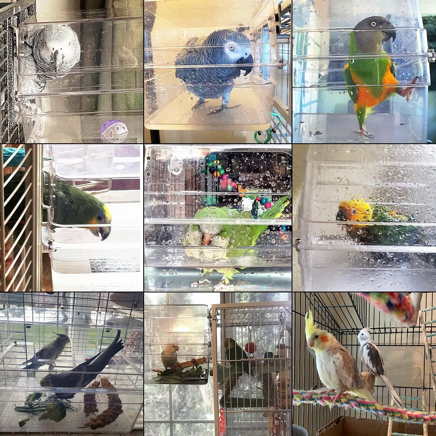Colorday Grand Bain d'oiseau 33x28x20 cm pour Perruches Conures Amazones