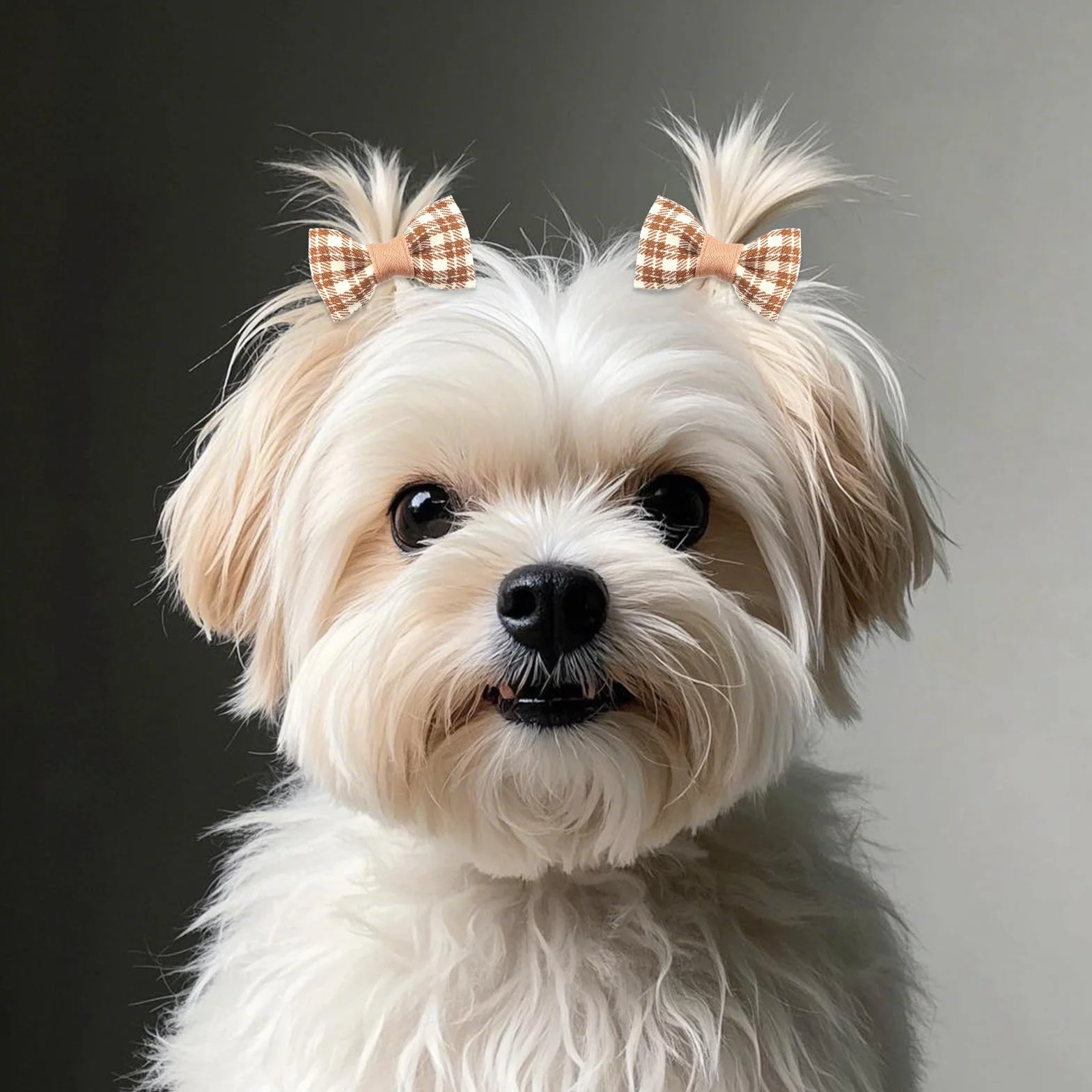 BOXOB 20pcs Nœuds pour Poils de Chien, Marron pour Chien de Petite Taille Nœuds Mignons pour Chiots à Fleurs Élastiques