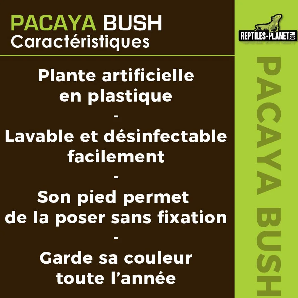 REPTILES PLANET - Pacaya Bush- Plante Artificielle - Décoration pour Terrarium - 20 cm